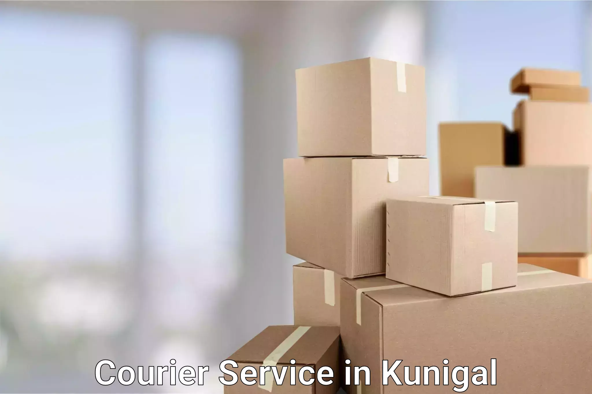 Parcel handling and care in Kunigal