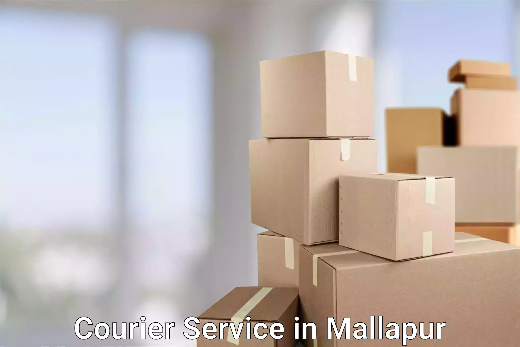 Flexible parcel services in Mallapur