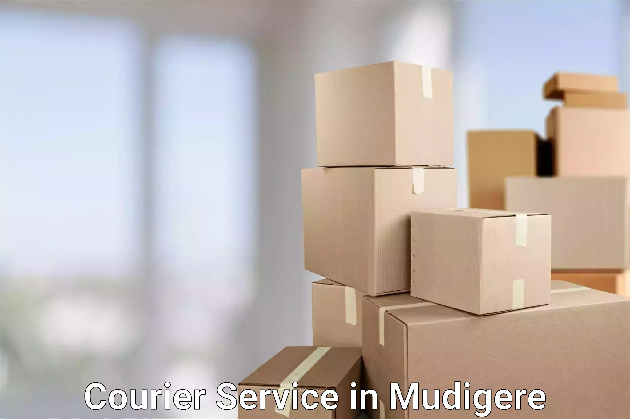 Round-the-clock parcel delivery in Mudigere