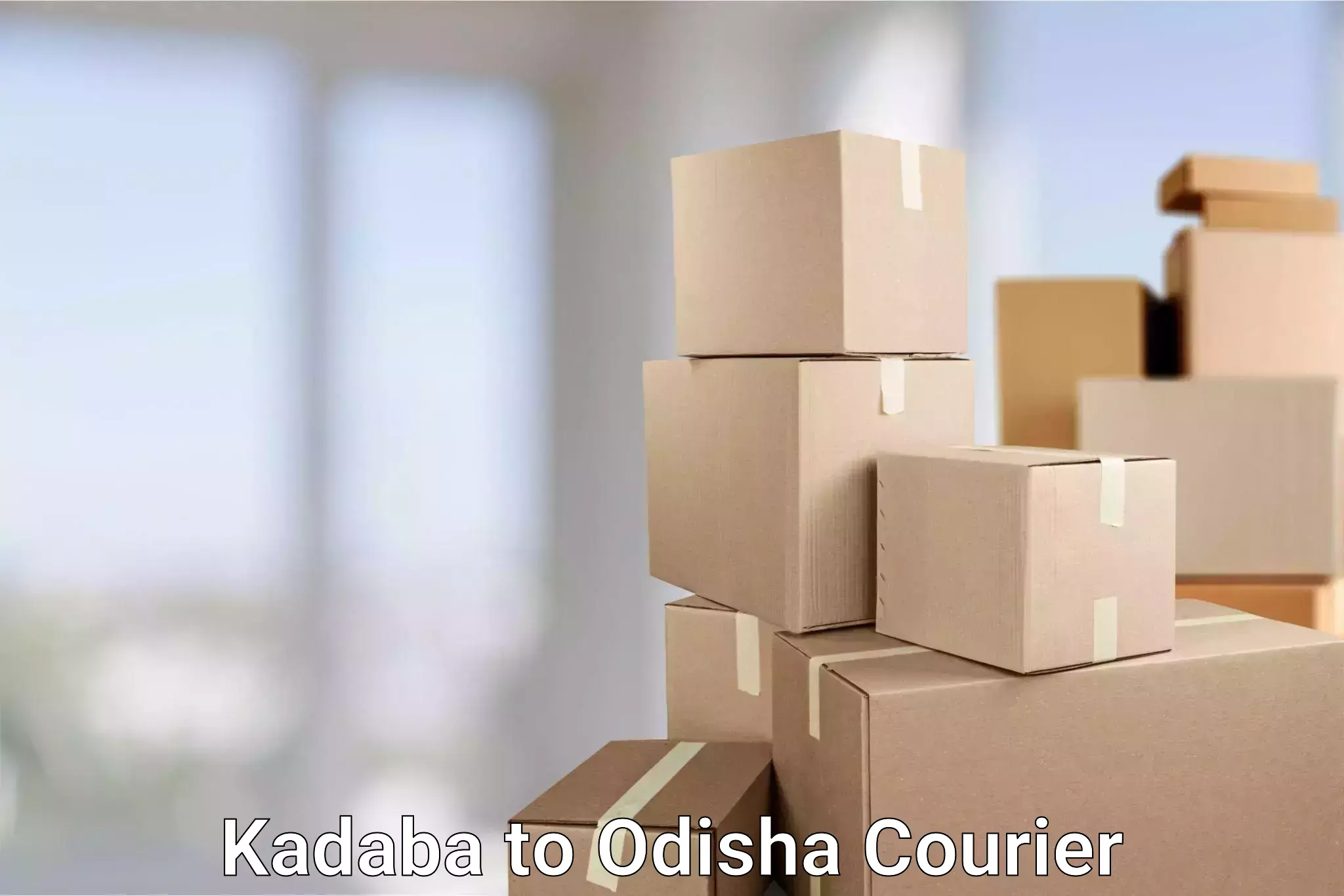 Custom courier packaging Kadaba to Dhamanagar