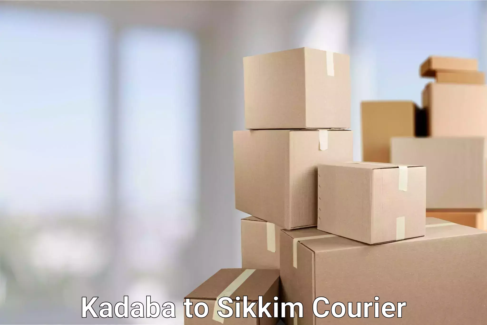 Courier service comparison Kadaba to Pelling