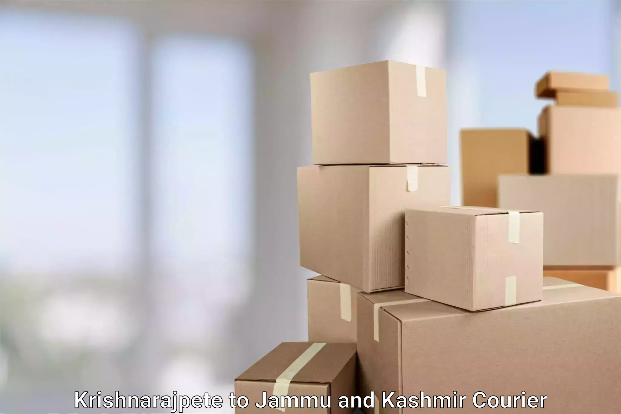 Dynamic courier services Krishnarajpete to Jammu and Kashmir