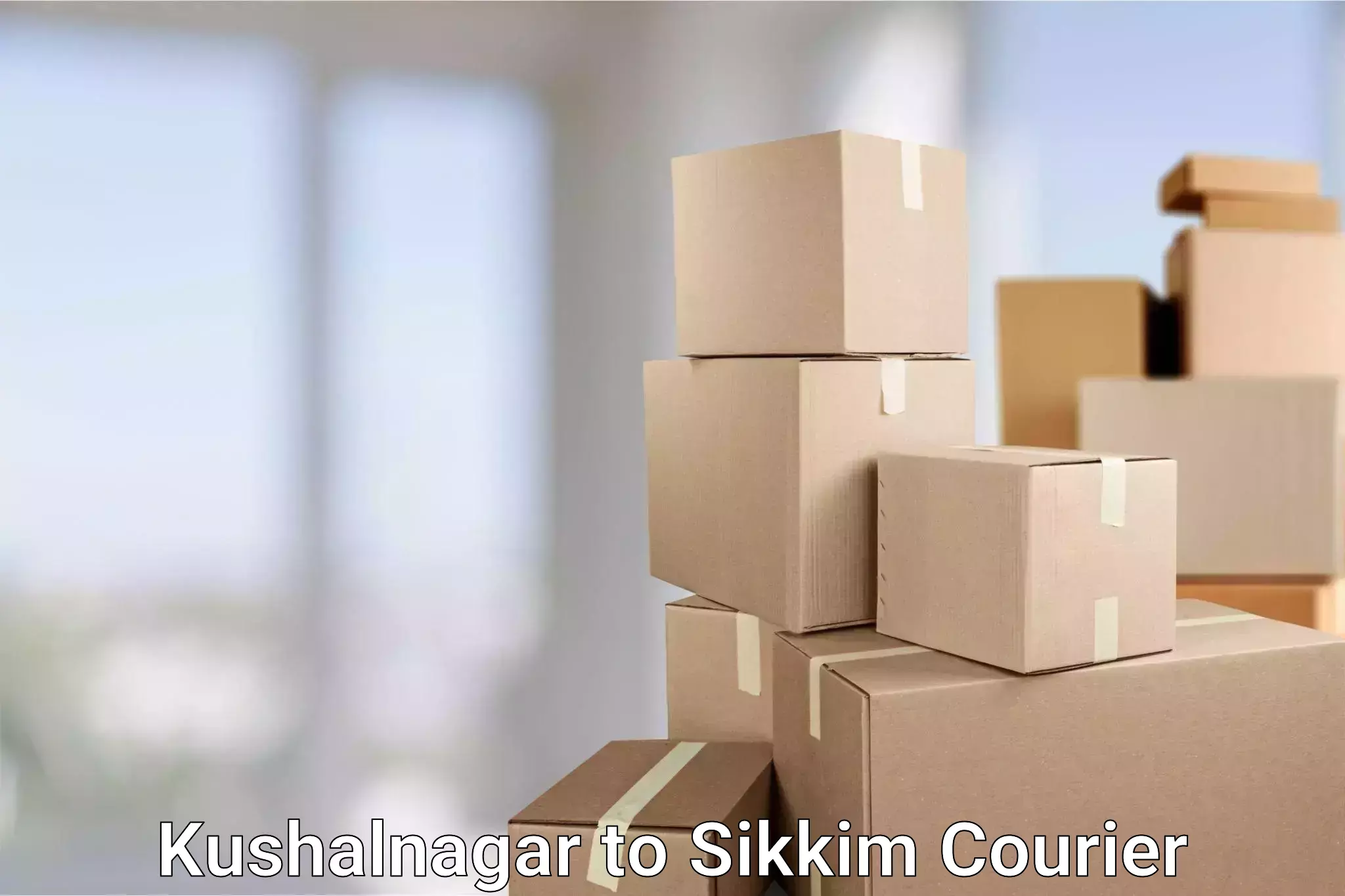 Premium courier services in Kushalnagar to Sikkim
