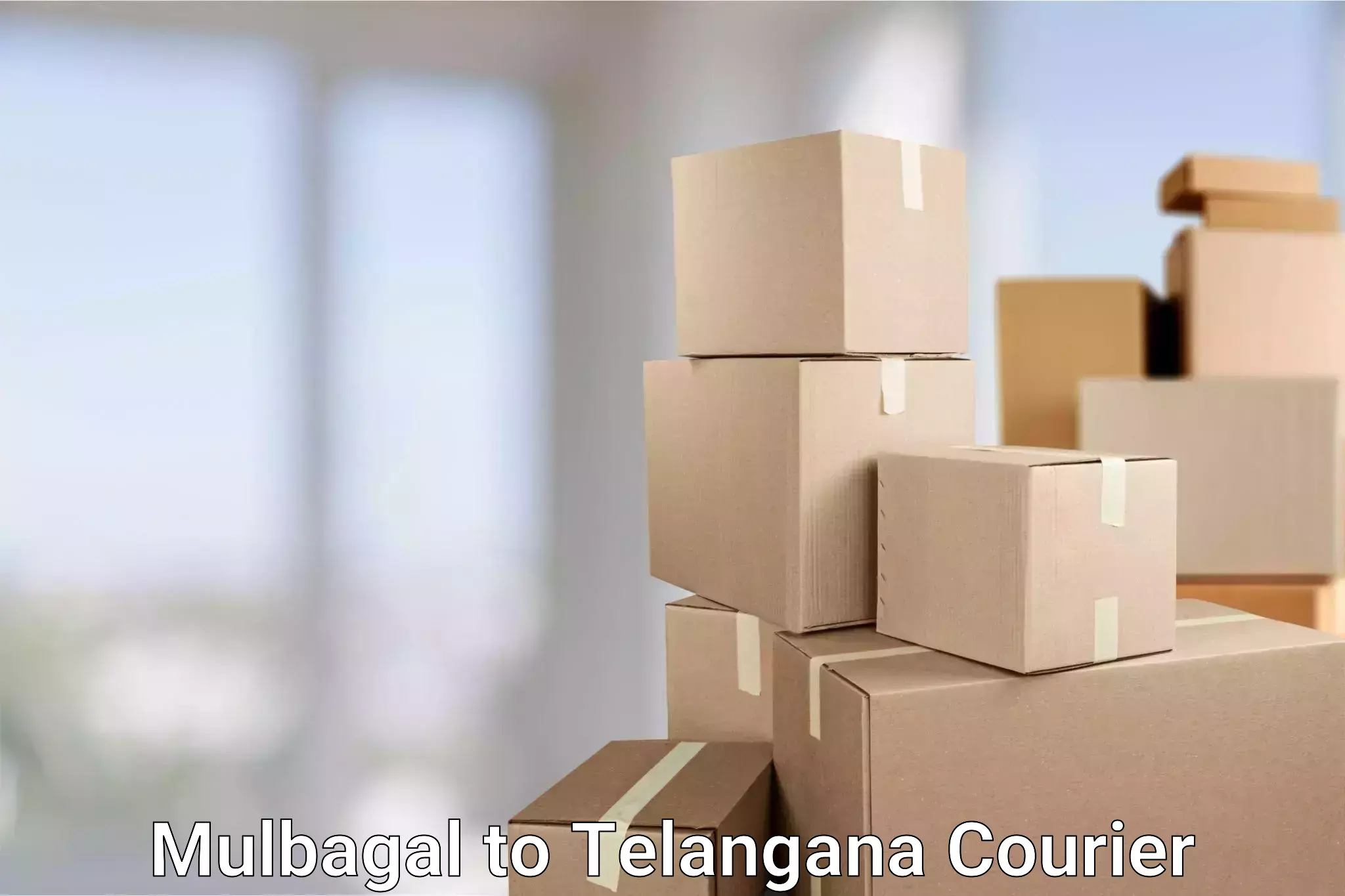 Lightweight parcel options Mulbagal to Telangana