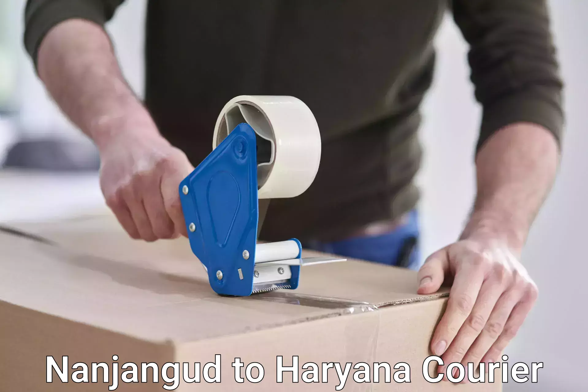 Large package courier Nanjangud to Bilaspur Haryana