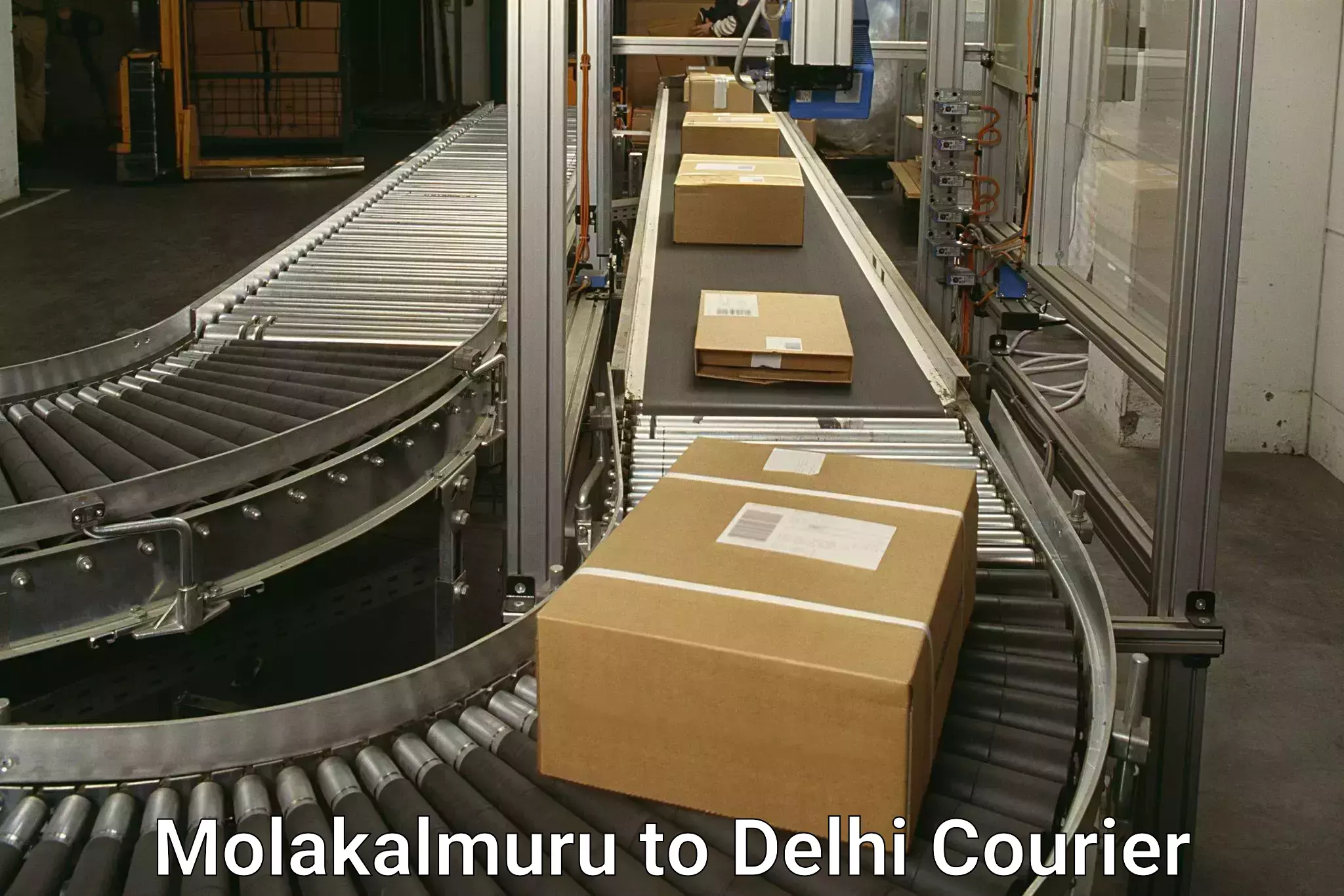Courier service efficiency in Molakalmuru to University of Delhi