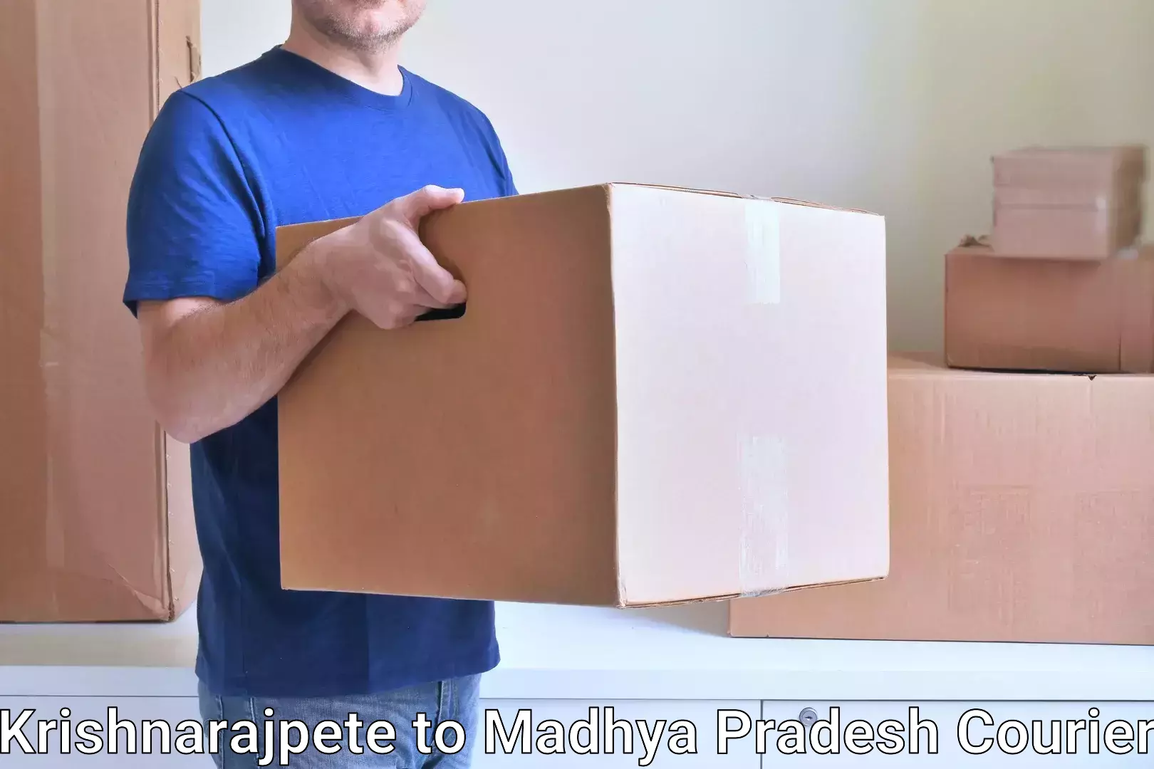 Reliable package handling Krishnarajpete to Khajuraho