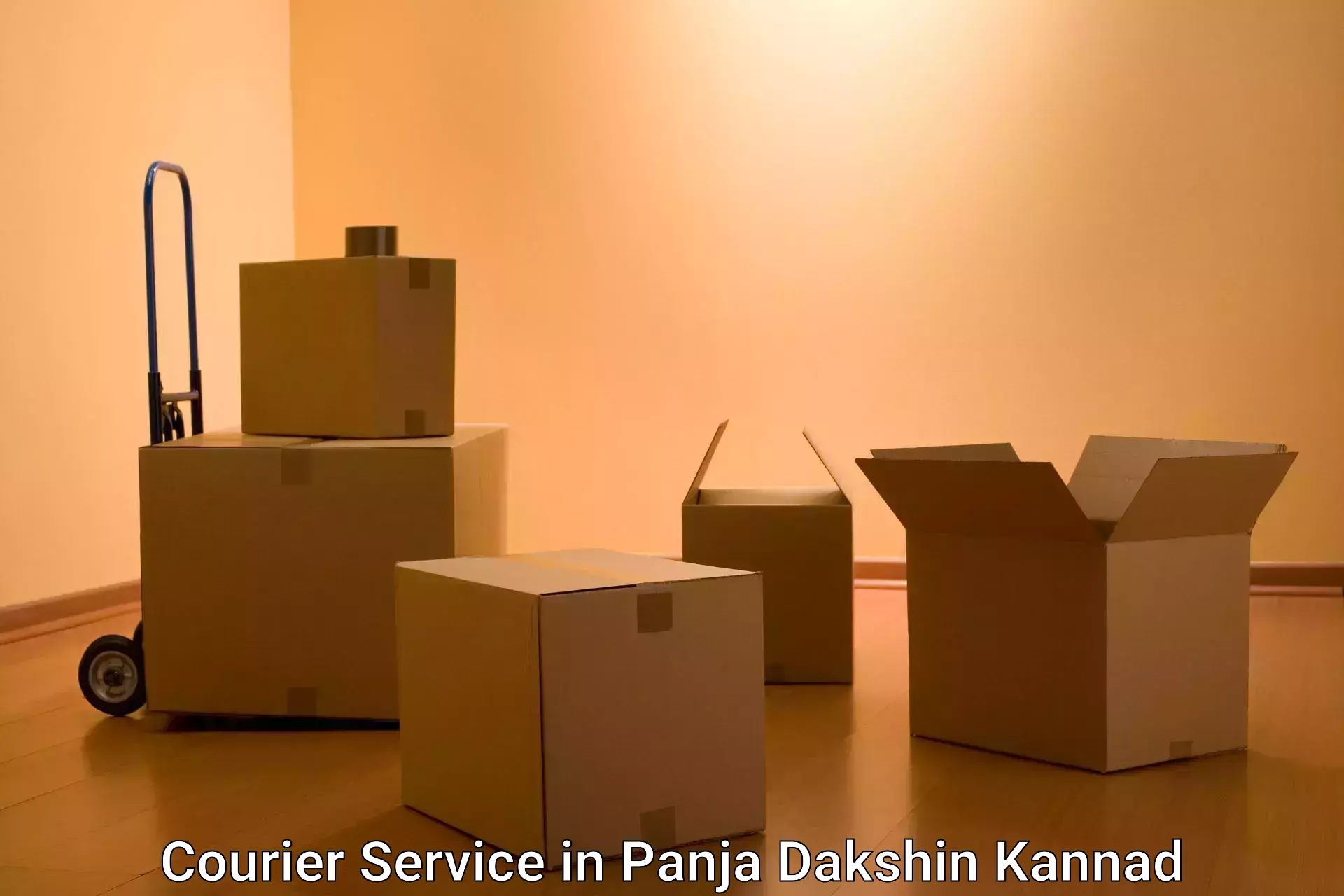 Courier tracking online in Panja Dakshin Kannad