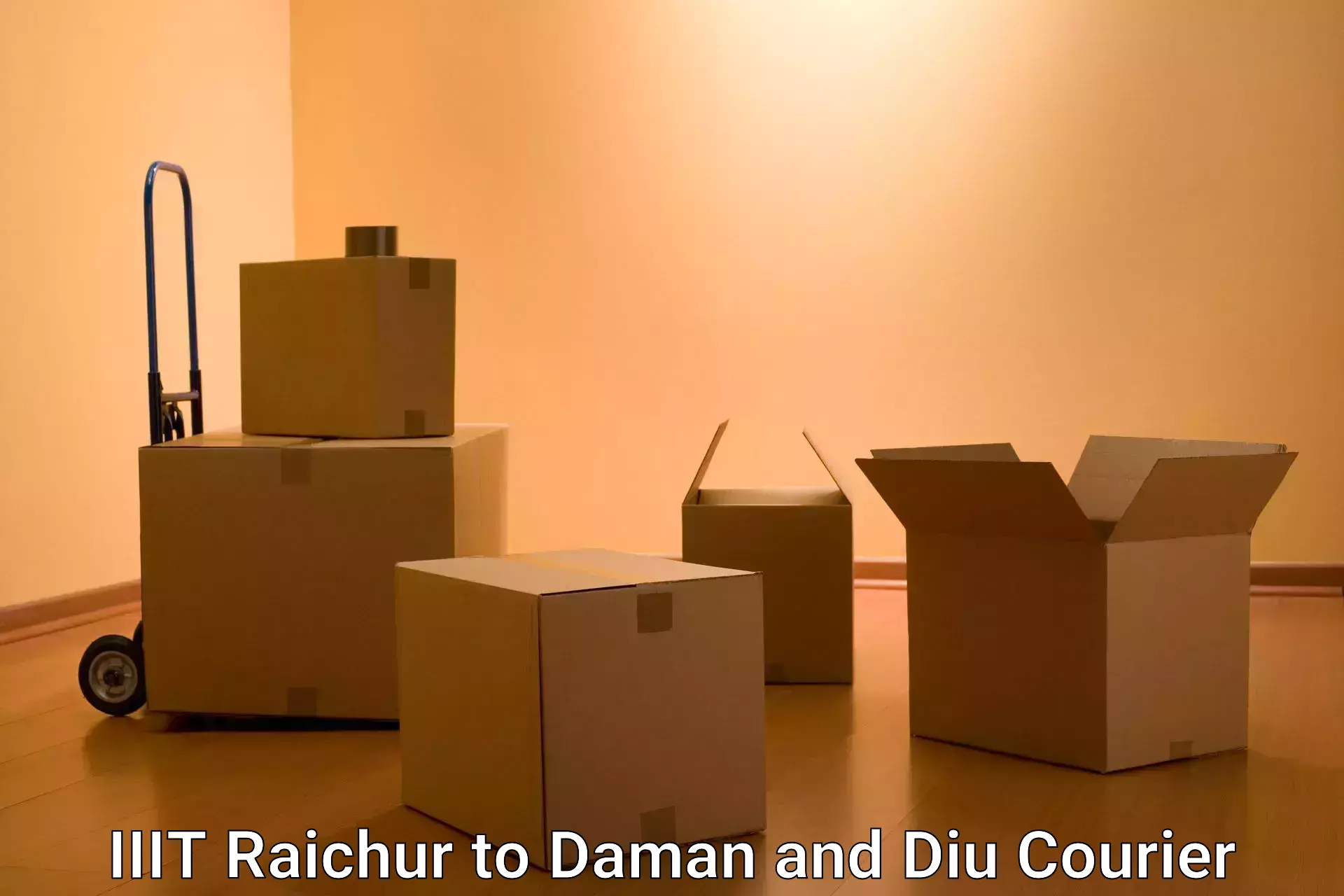 High-priority parcel service in IIIT Raichur to Diu