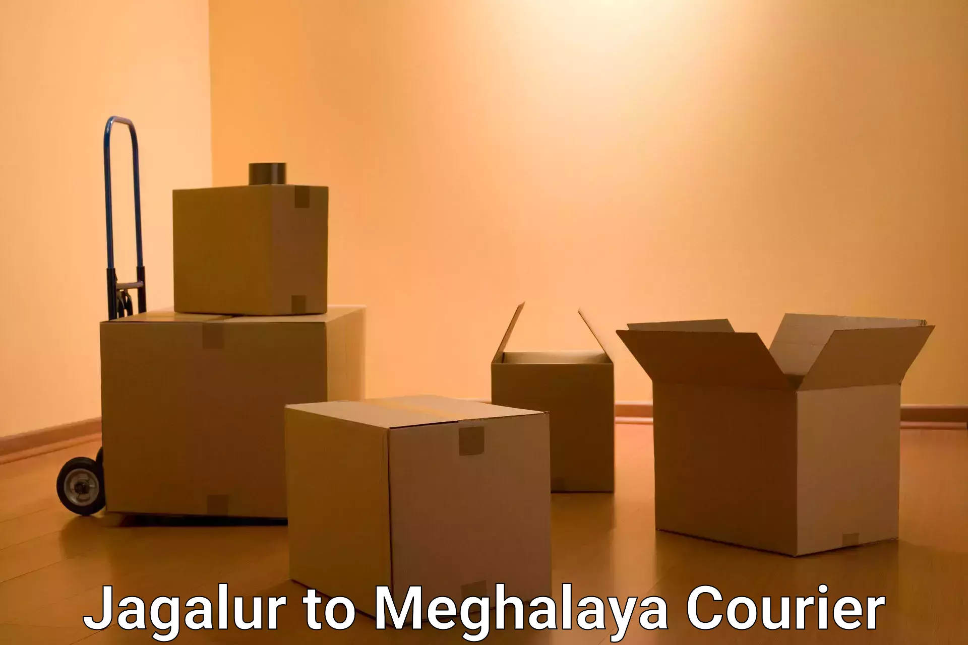 Global parcel delivery in Jagalur to Meghalaya