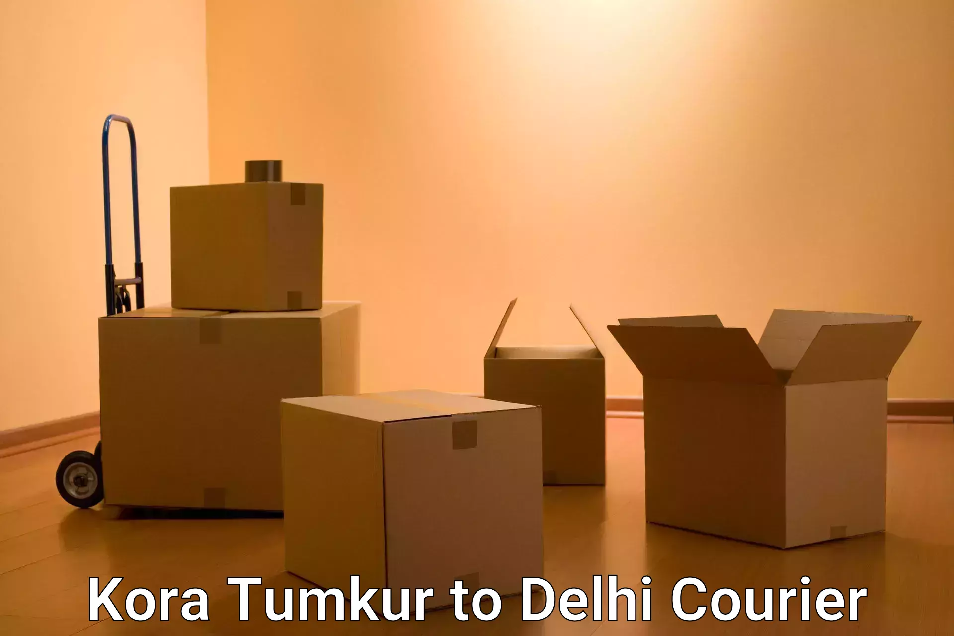 Special handling courier Kora Tumkur to Indraprastha