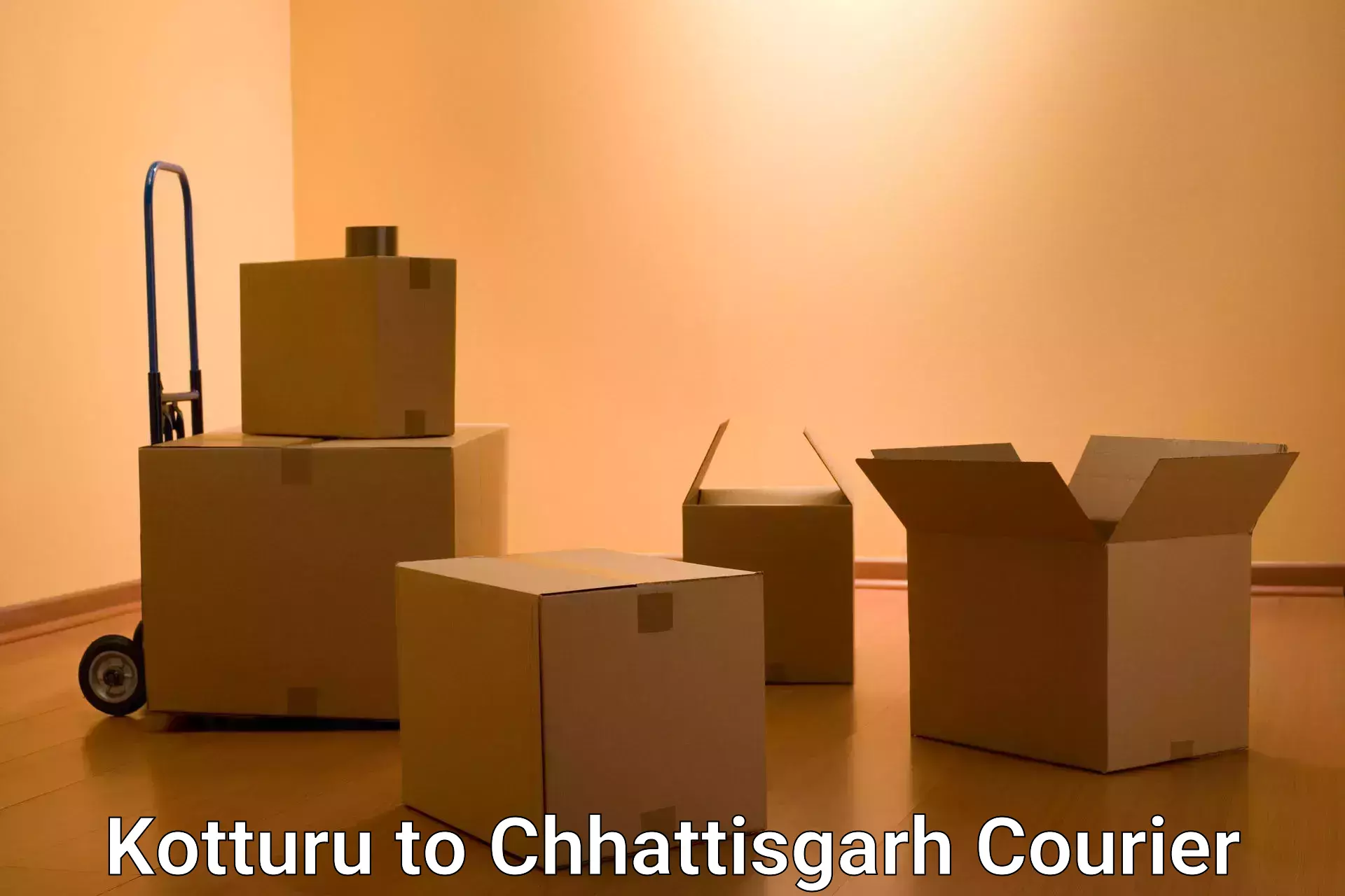 Personal parcel delivery Kotturu to Raigarh Chhattisgarh