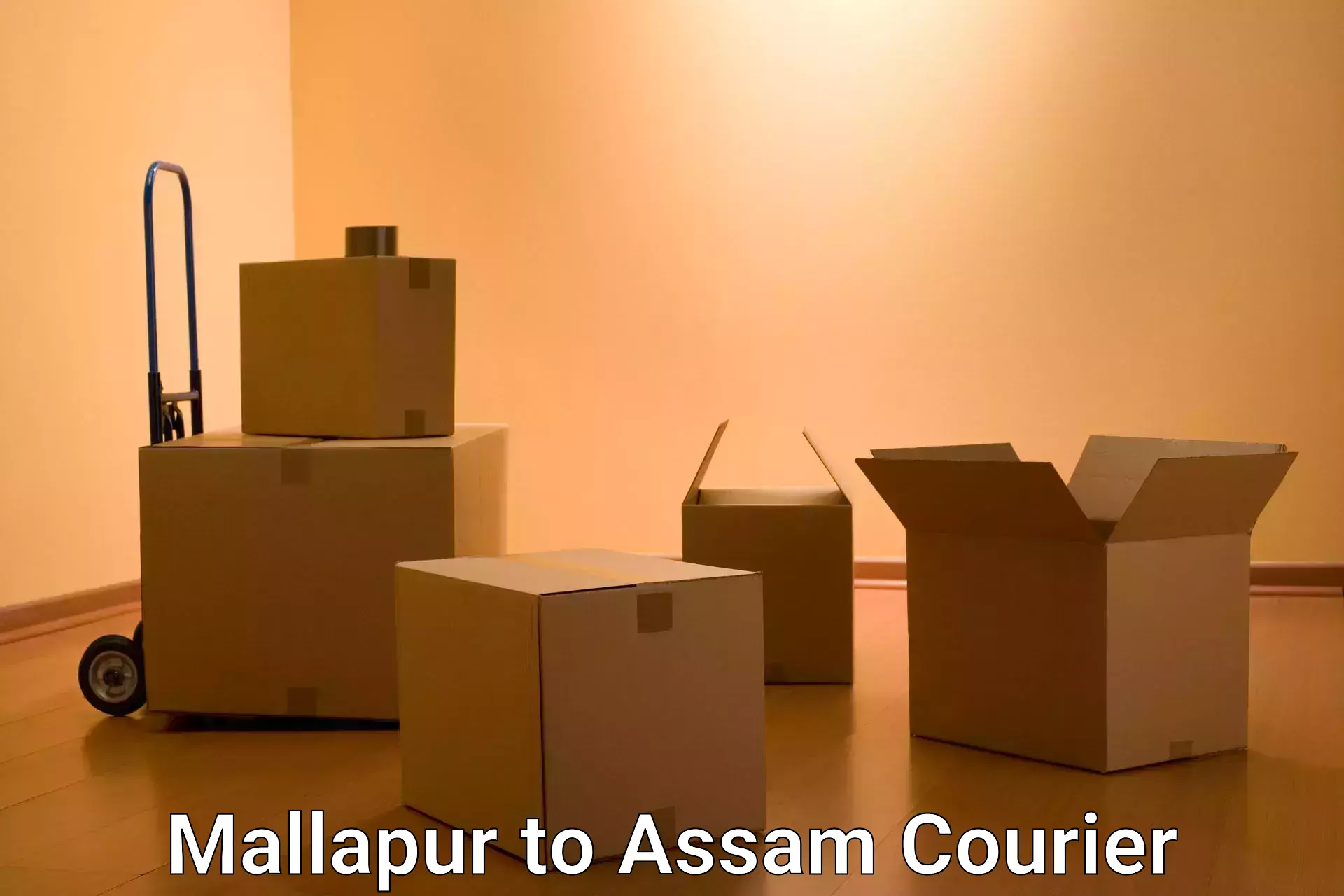 Comprehensive delivery network Mallapur to Golakganj
