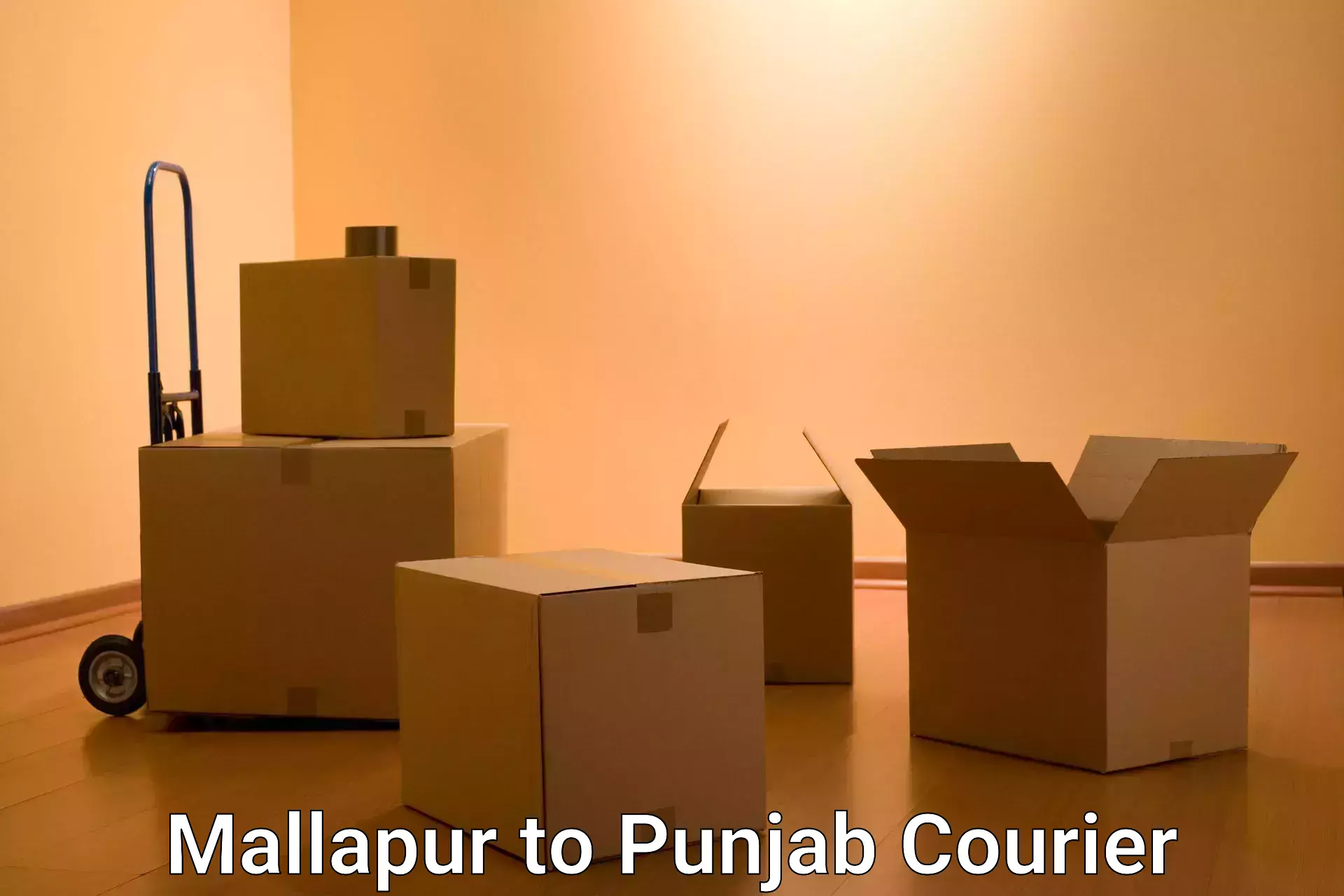 Residential courier service Mallapur to Punjab