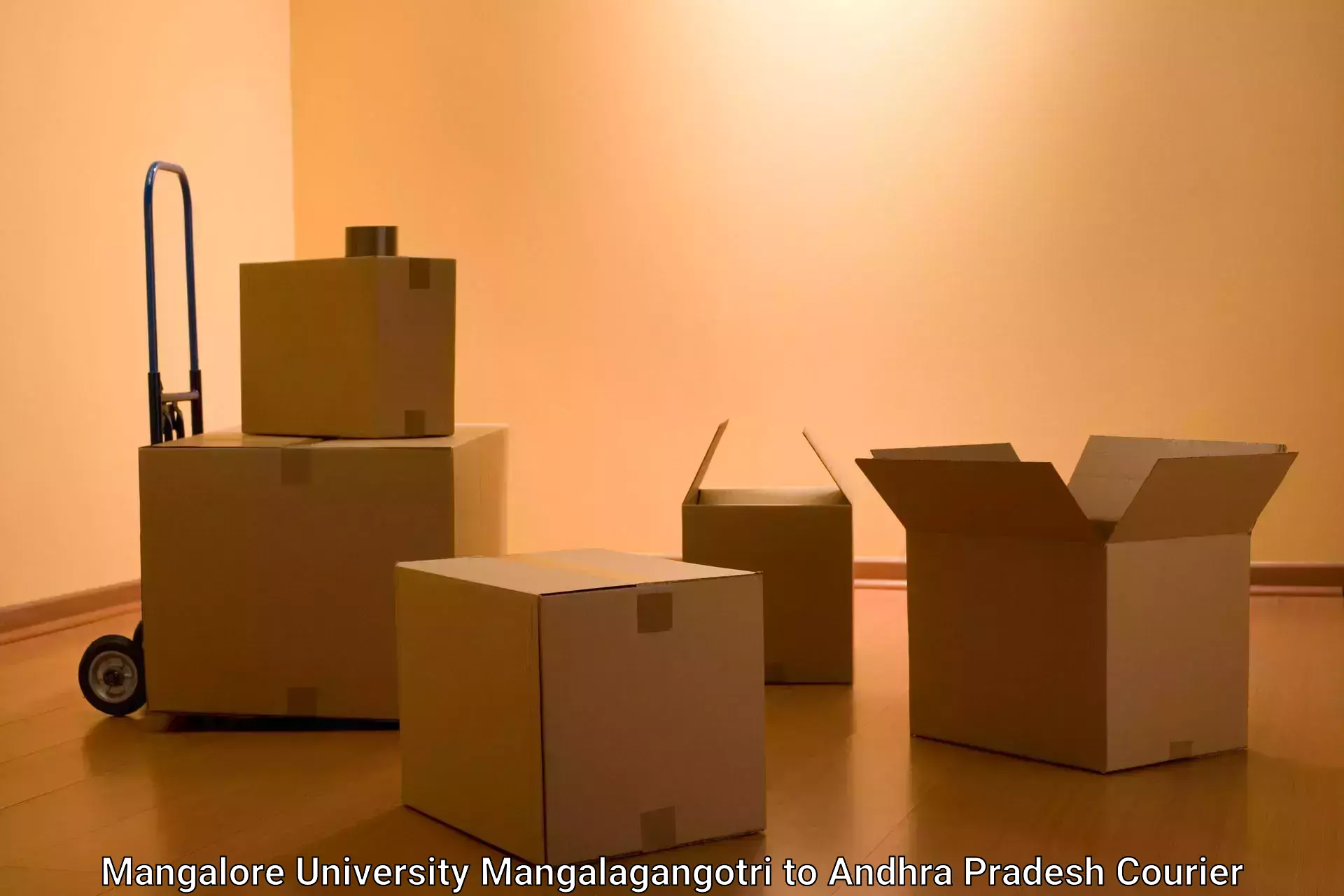 Professional parcel services in Mangalore University Mangalagangotri to Palakollu