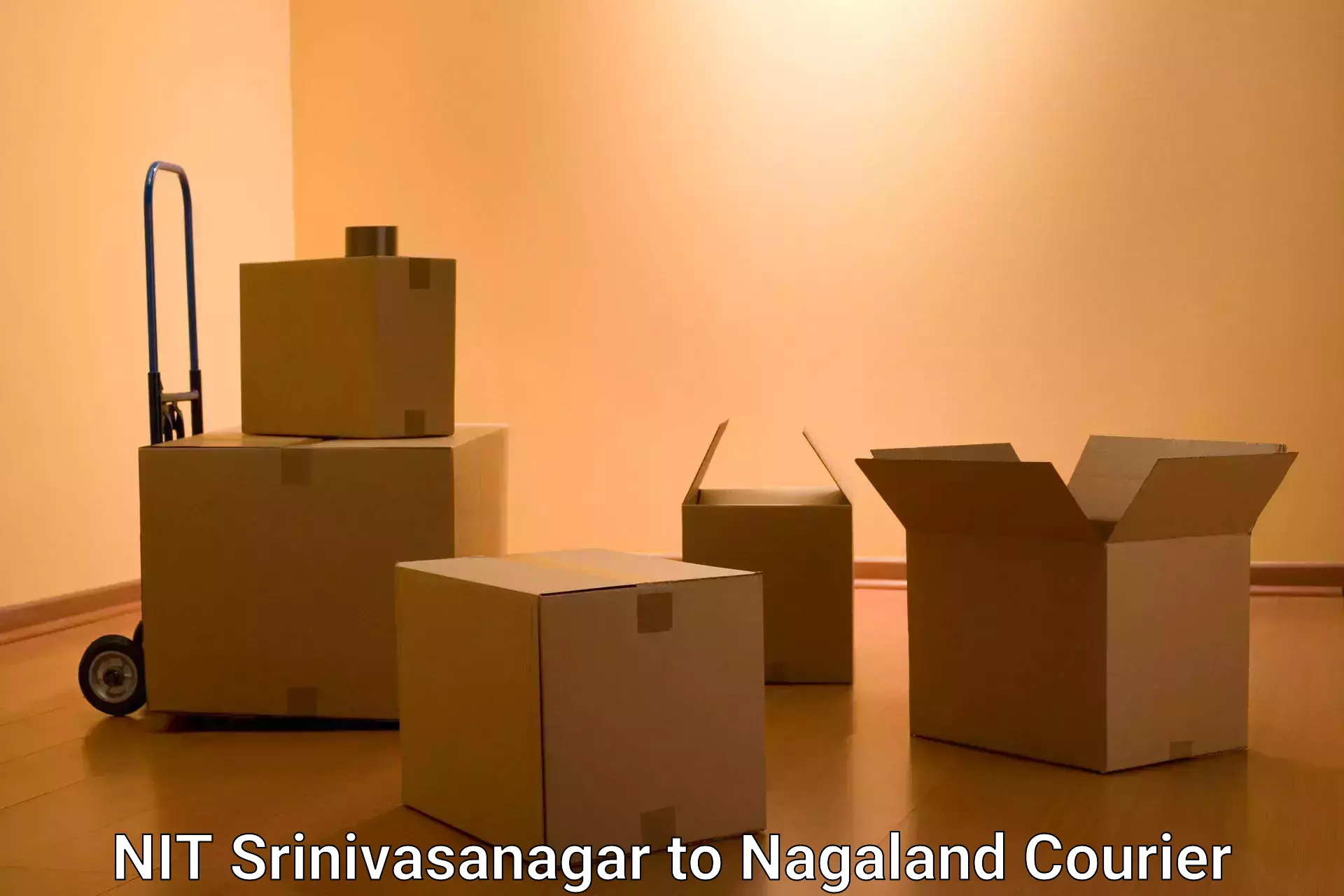 Weekend courier service NIT Srinivasanagar to Nagaland