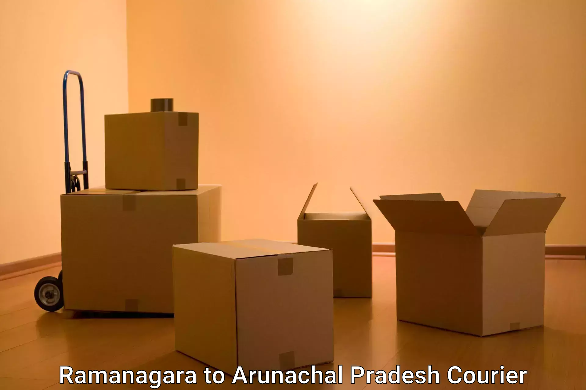 Large package courier Ramanagara to Roing