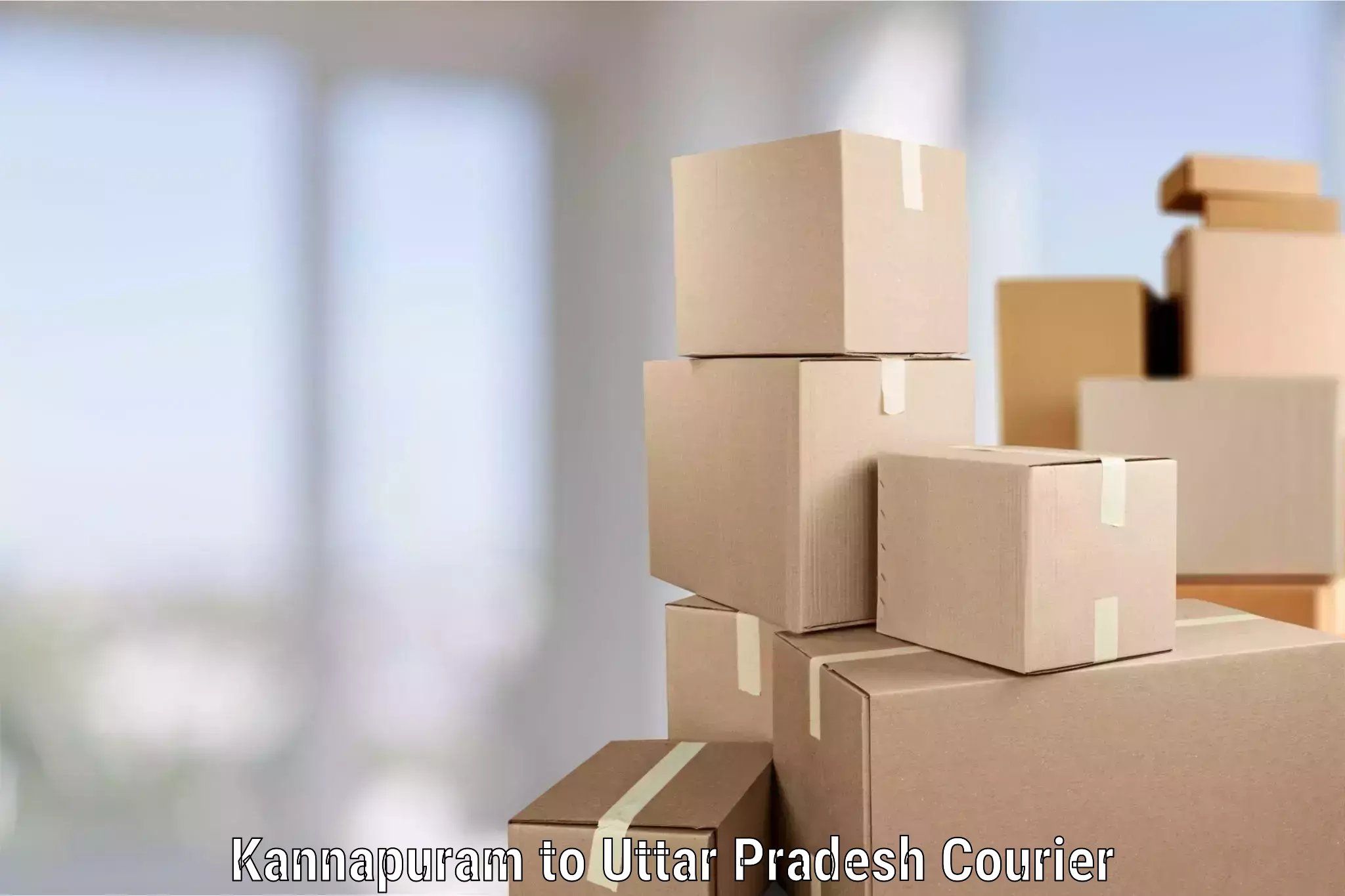 Quality furniture shipping Kannapuram to Mainpuri