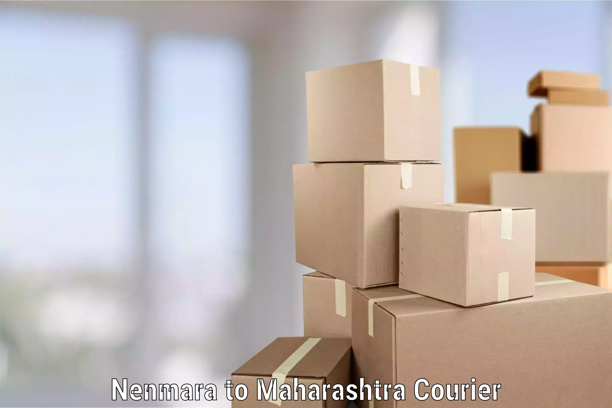 Flexible moving solutions Nenmara to Jalgaon Jamod