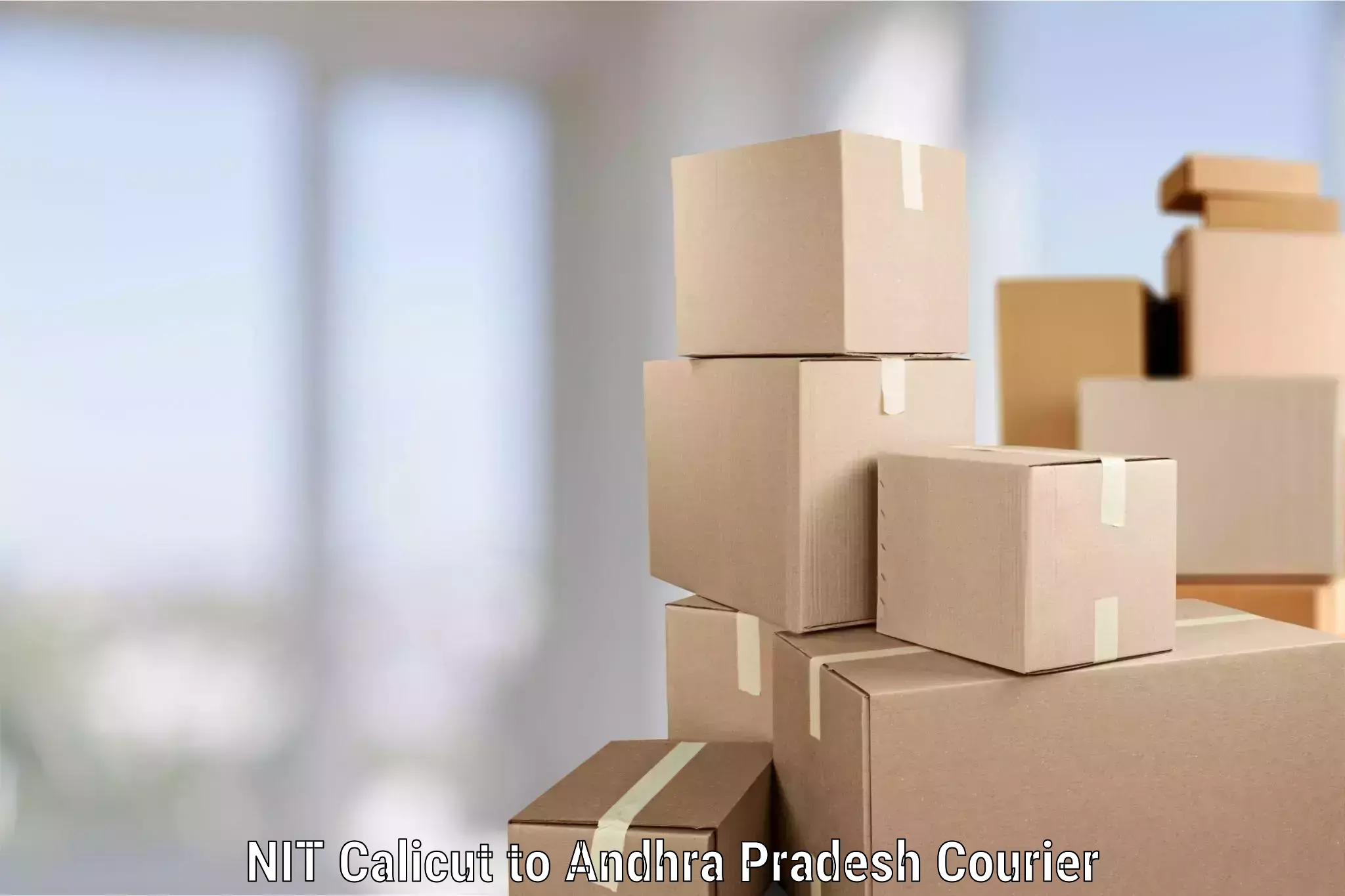 Affordable home movers NIT Calicut to Gudivada