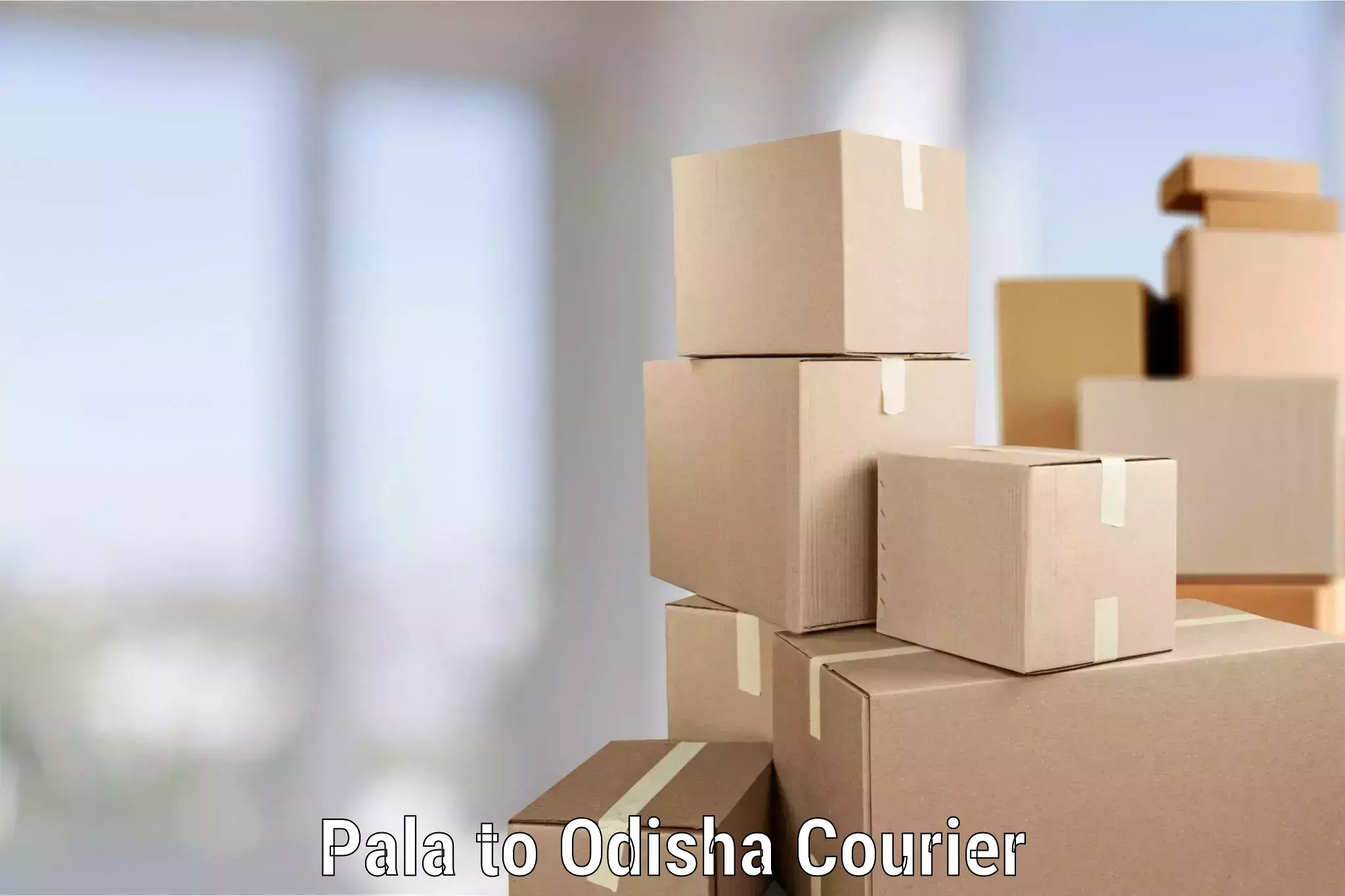 Specialized moving company Pala to Sonepur Subarnapur