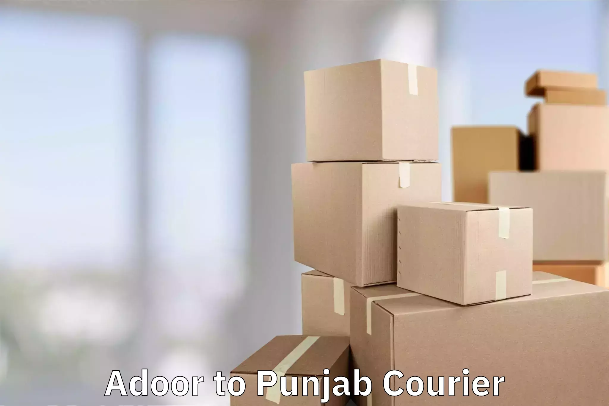 Luggage courier rates calculator in Adoor to Ludhiana