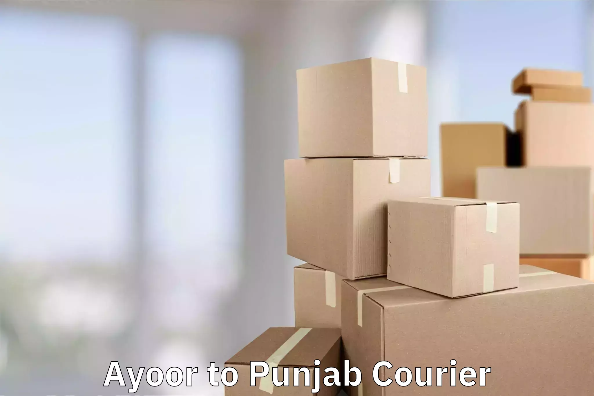 Affordable baggage delivery Ayoor to Amritsar