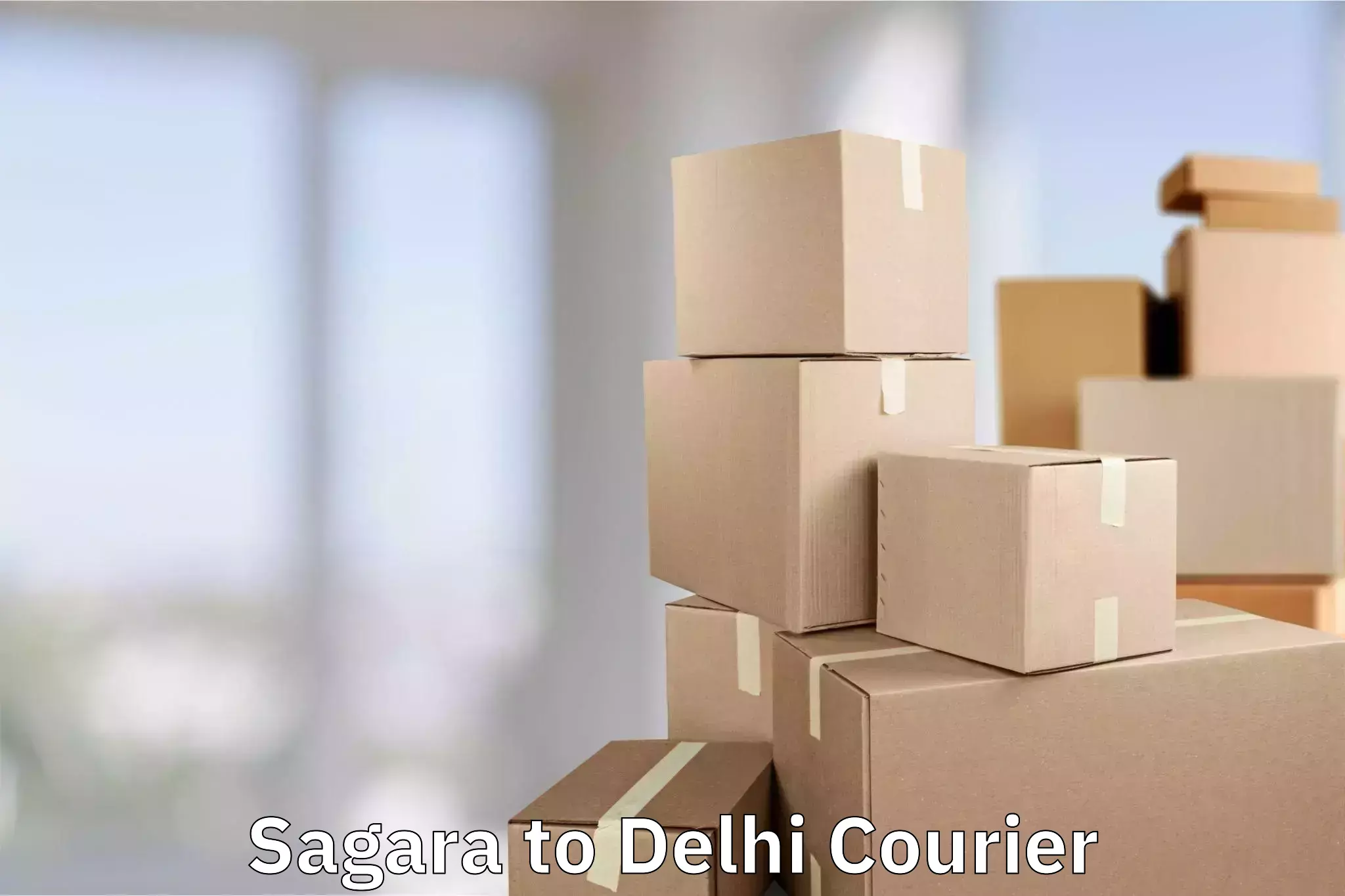 Baggage courier insights Sagara to Indraprastha