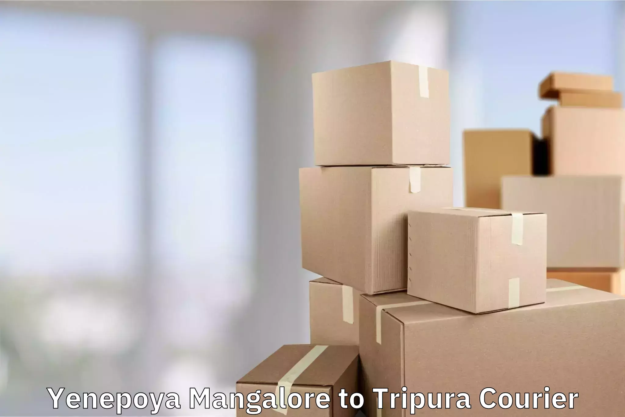 Baggage courier optimization Yenepoya Mangalore to Radhakishorepur