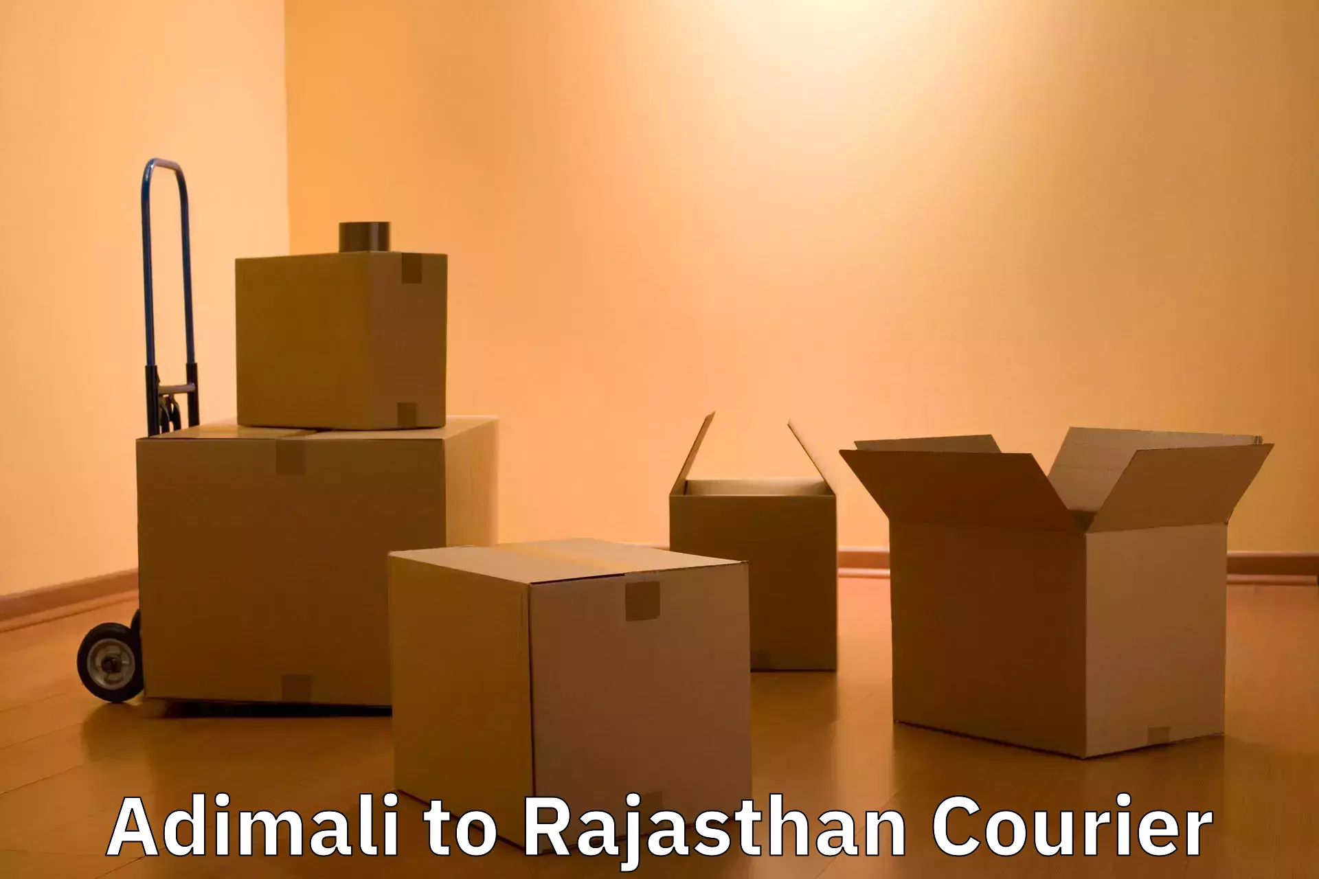 Baggage courier strategy Adimali to Rajgarh Rajasthan