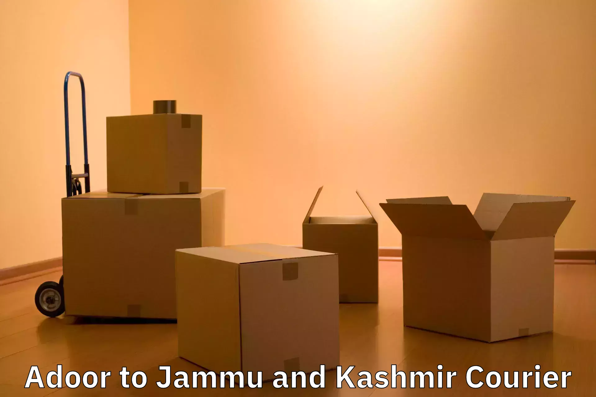 Efficient baggage courier system in Adoor to Jammu and Kashmir