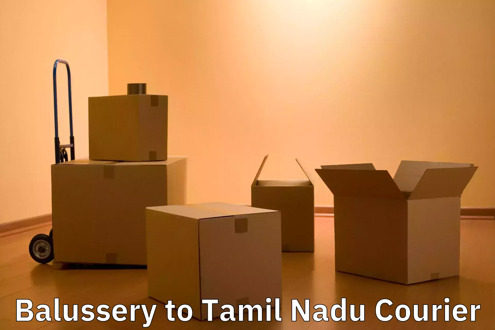 Luggage storage and delivery Balussery to Palladam