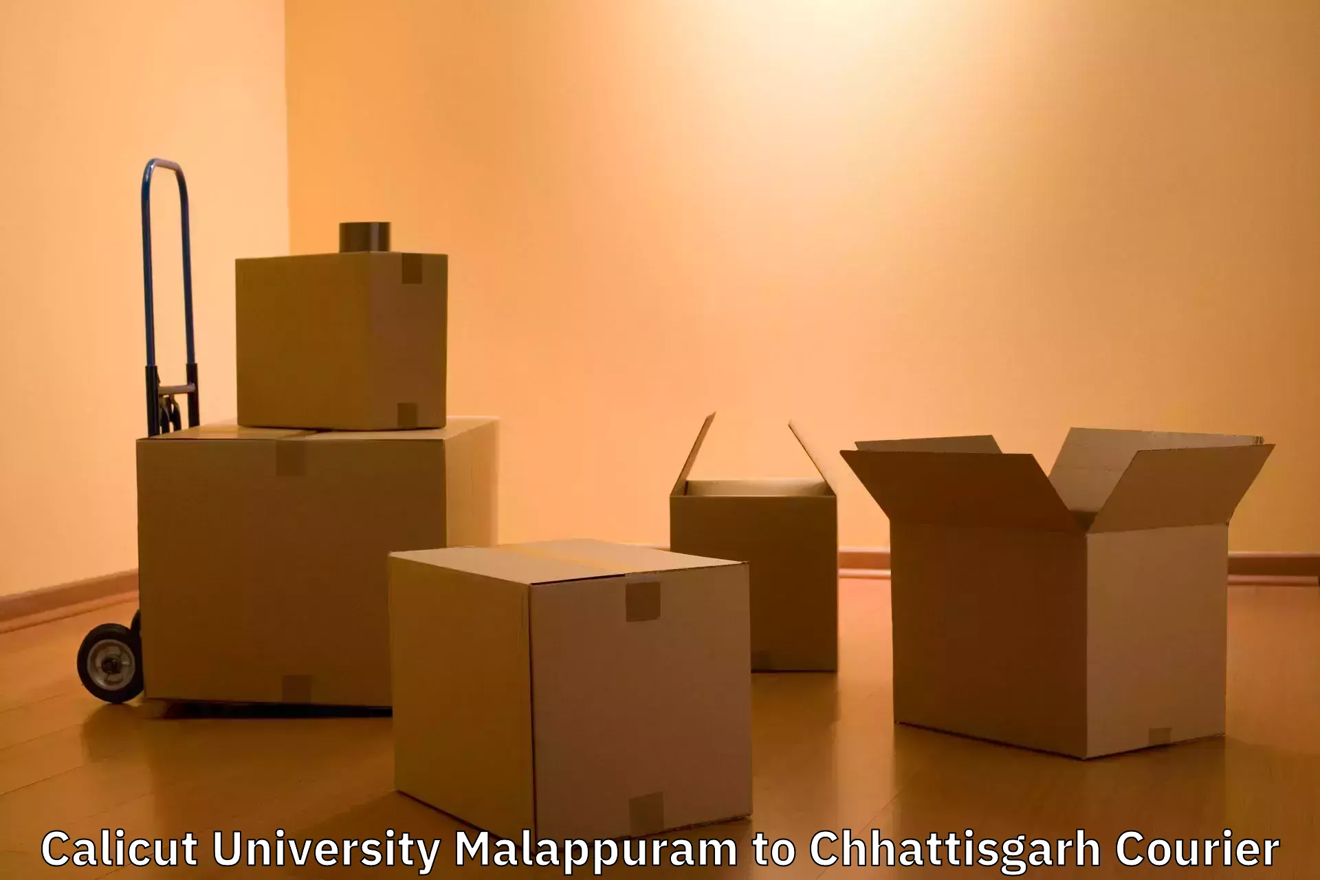 Baggage shipping schedule Calicut University Malappuram to Surajpur