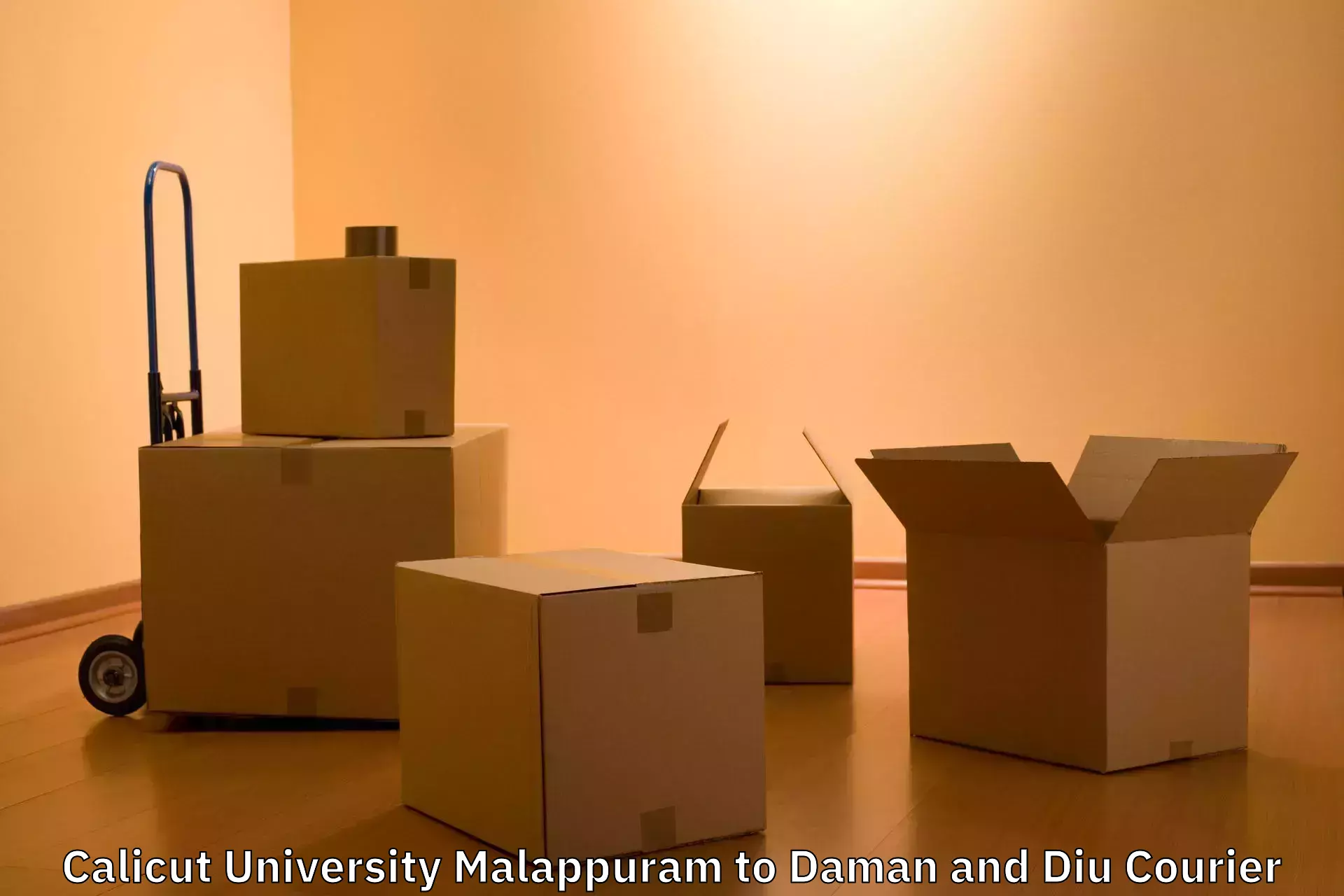 Door-to-door baggage service Calicut University Malappuram to Daman