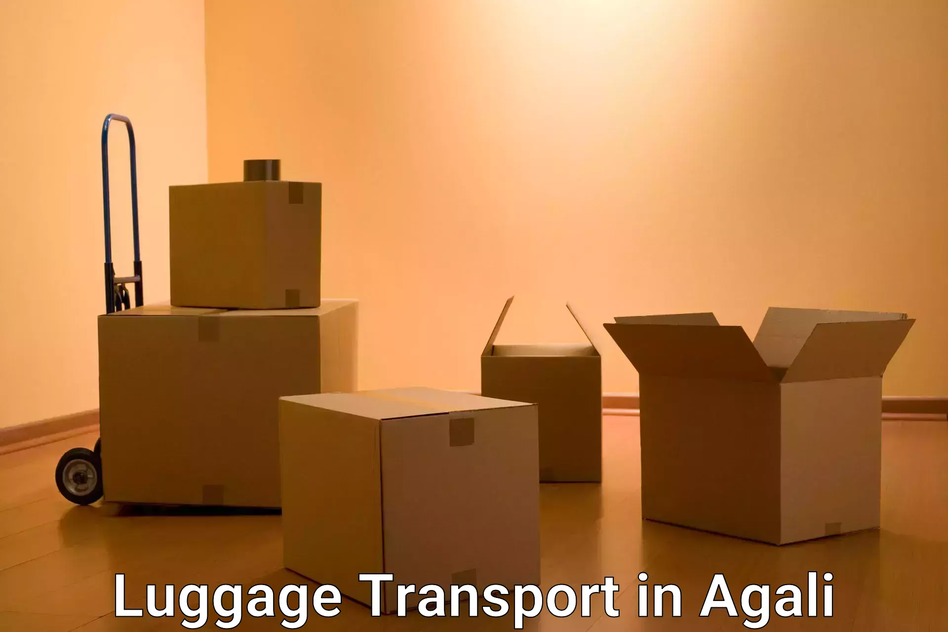 Urgent luggage shipment in Agali