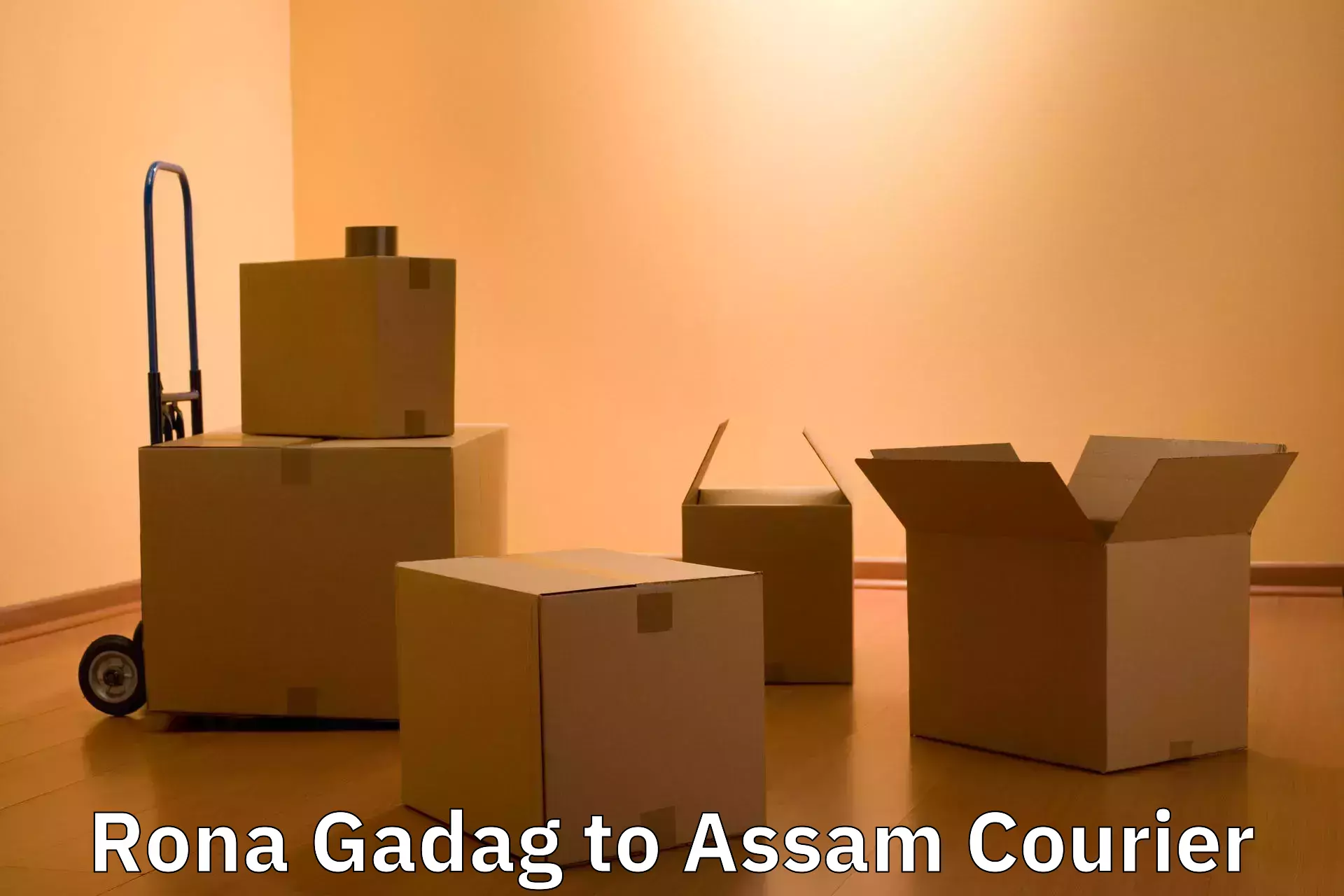 Baggage delivery technology Rona Gadag to Guwahati University