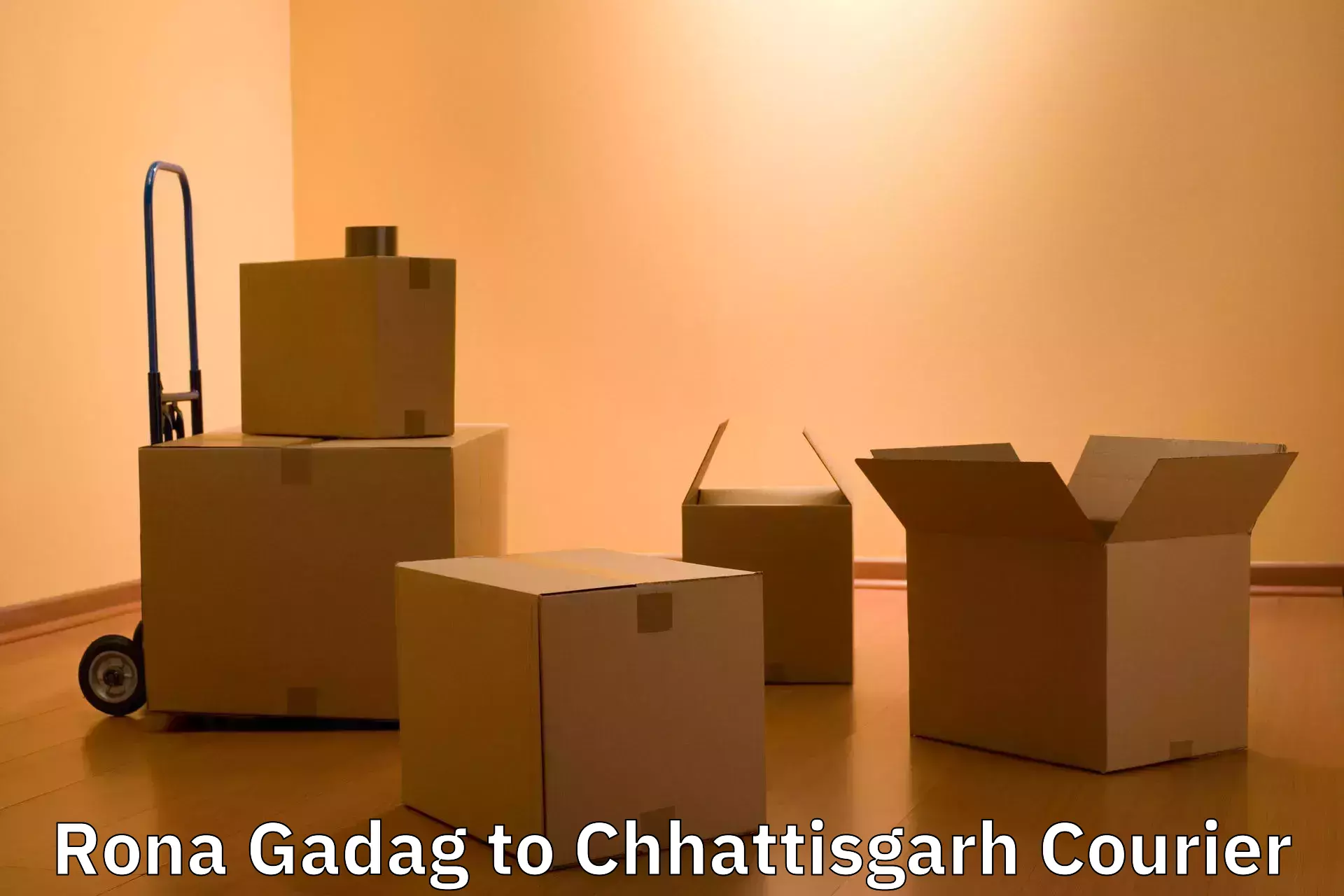 Round trip baggage courier Rona Gadag to Raigarh Chhattisgarh