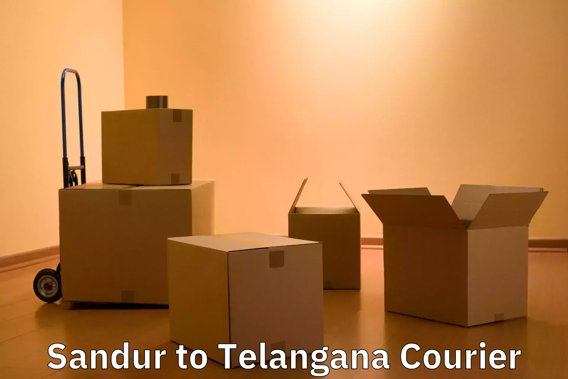 Baggage courier advice Sandur to Yerrupalem