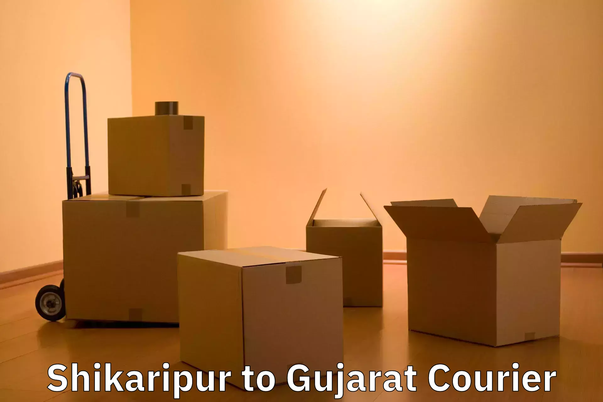 Baggage courier operations Shikaripur to Bhuj