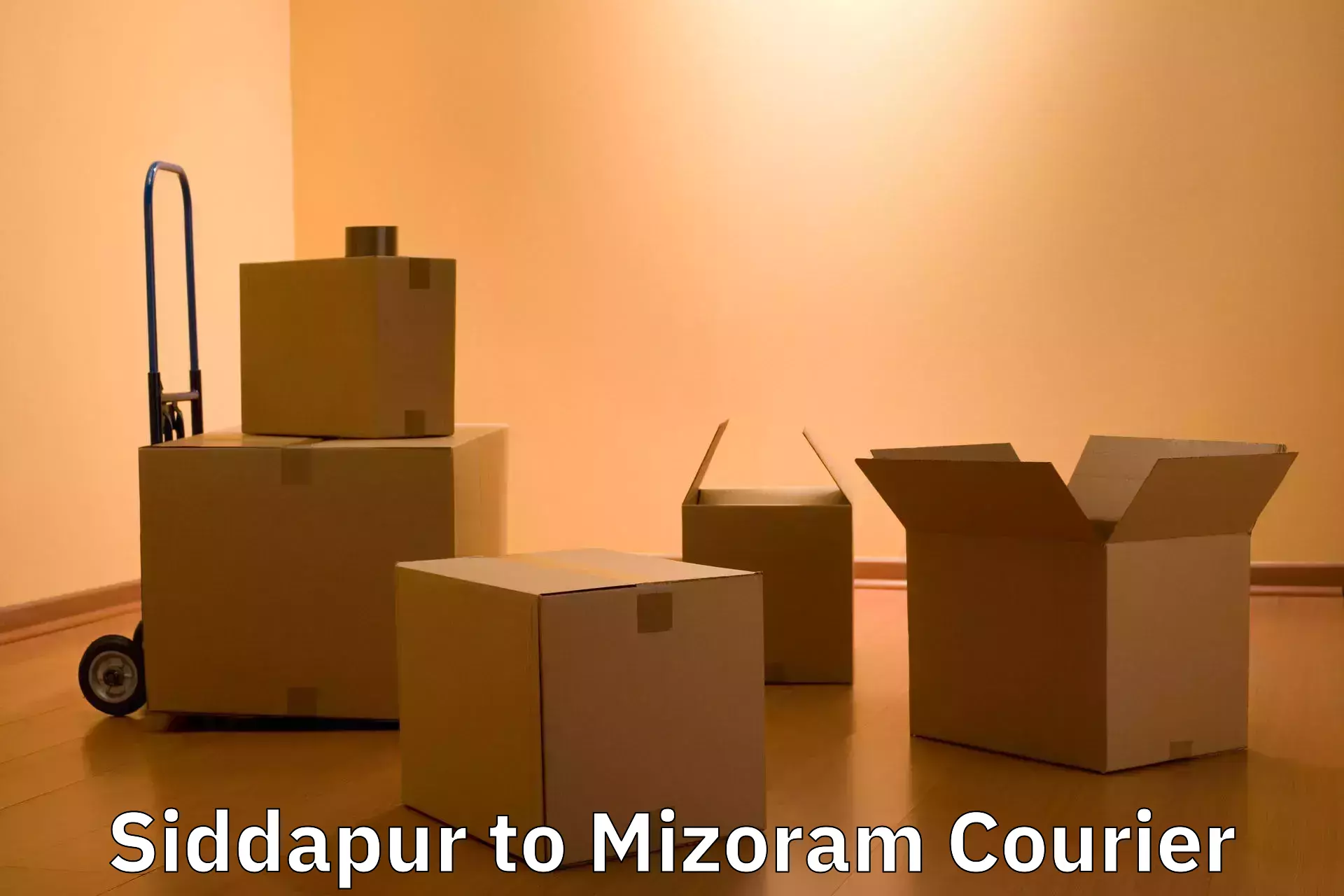 Baggage courier strategy Siddapur to Mizoram University Aizawl