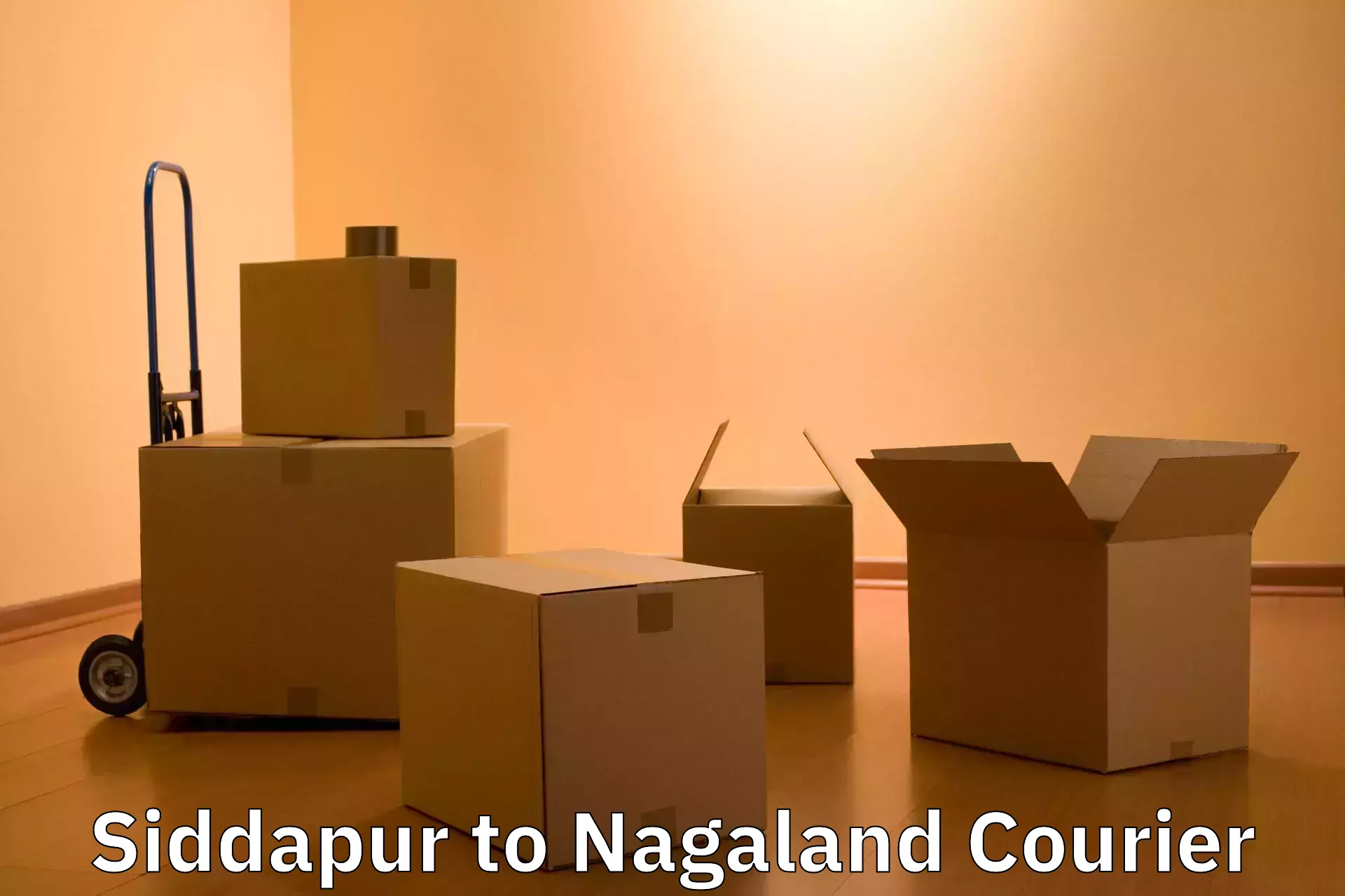 Streamlined baggage courier in Siddapur to NIT Nagaland