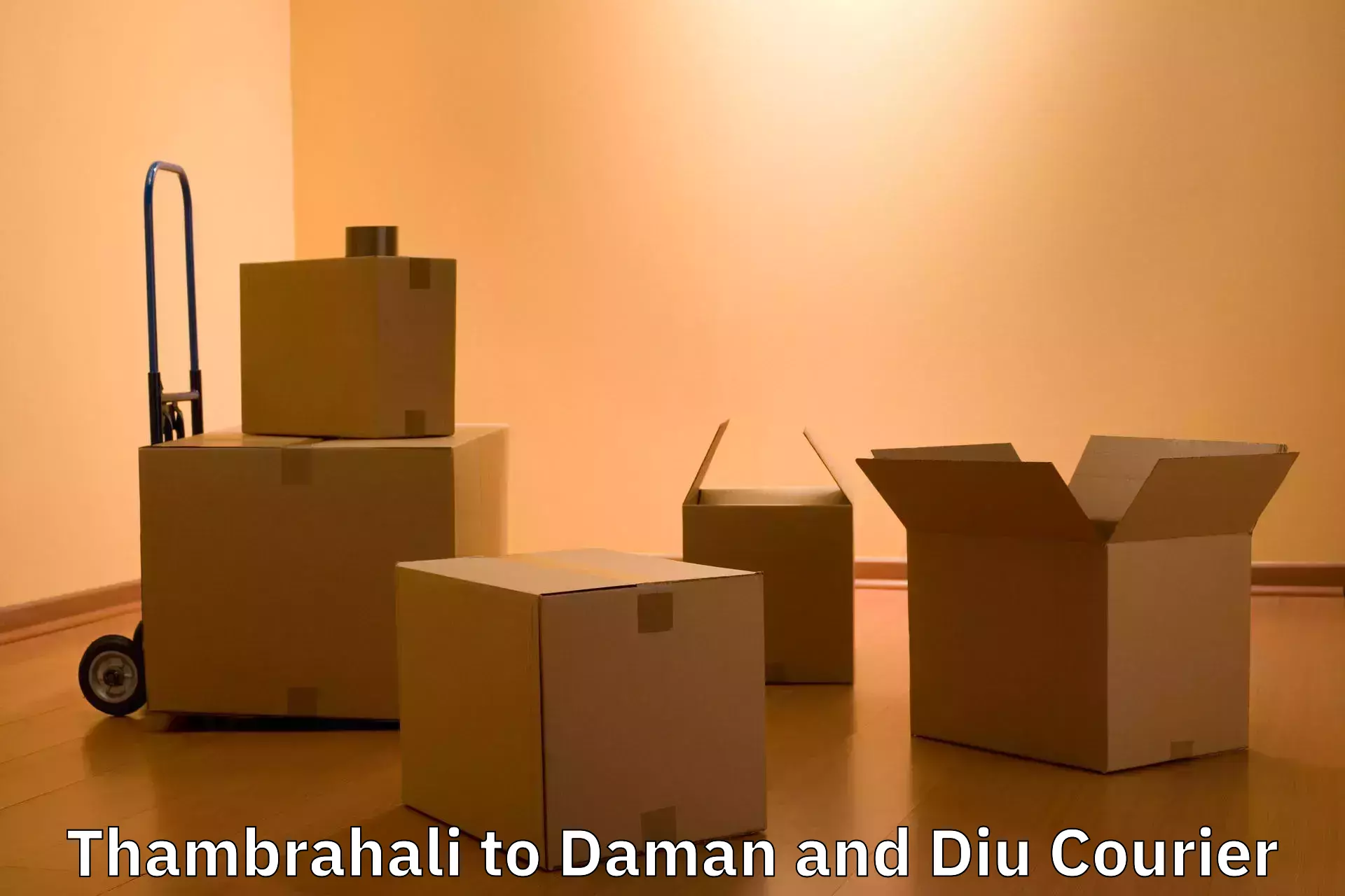 Baggage delivery technology Thambrahali to Daman