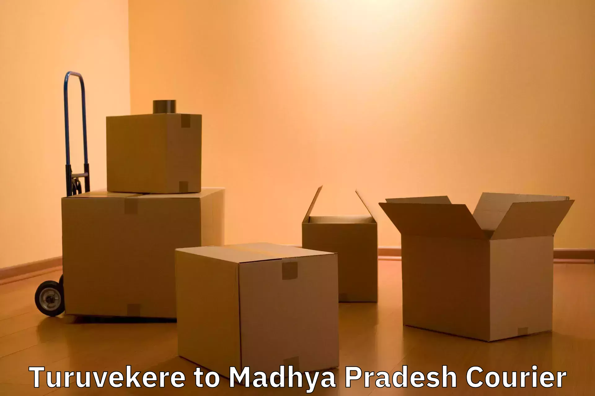 Baggage courier pricing Turuvekere to Madhya Pradesh
