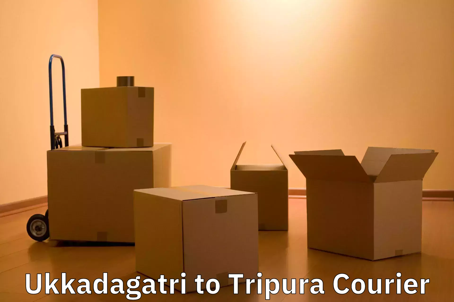 Luggage shipment logistics in Ukkadagatri to IIIT Agartala