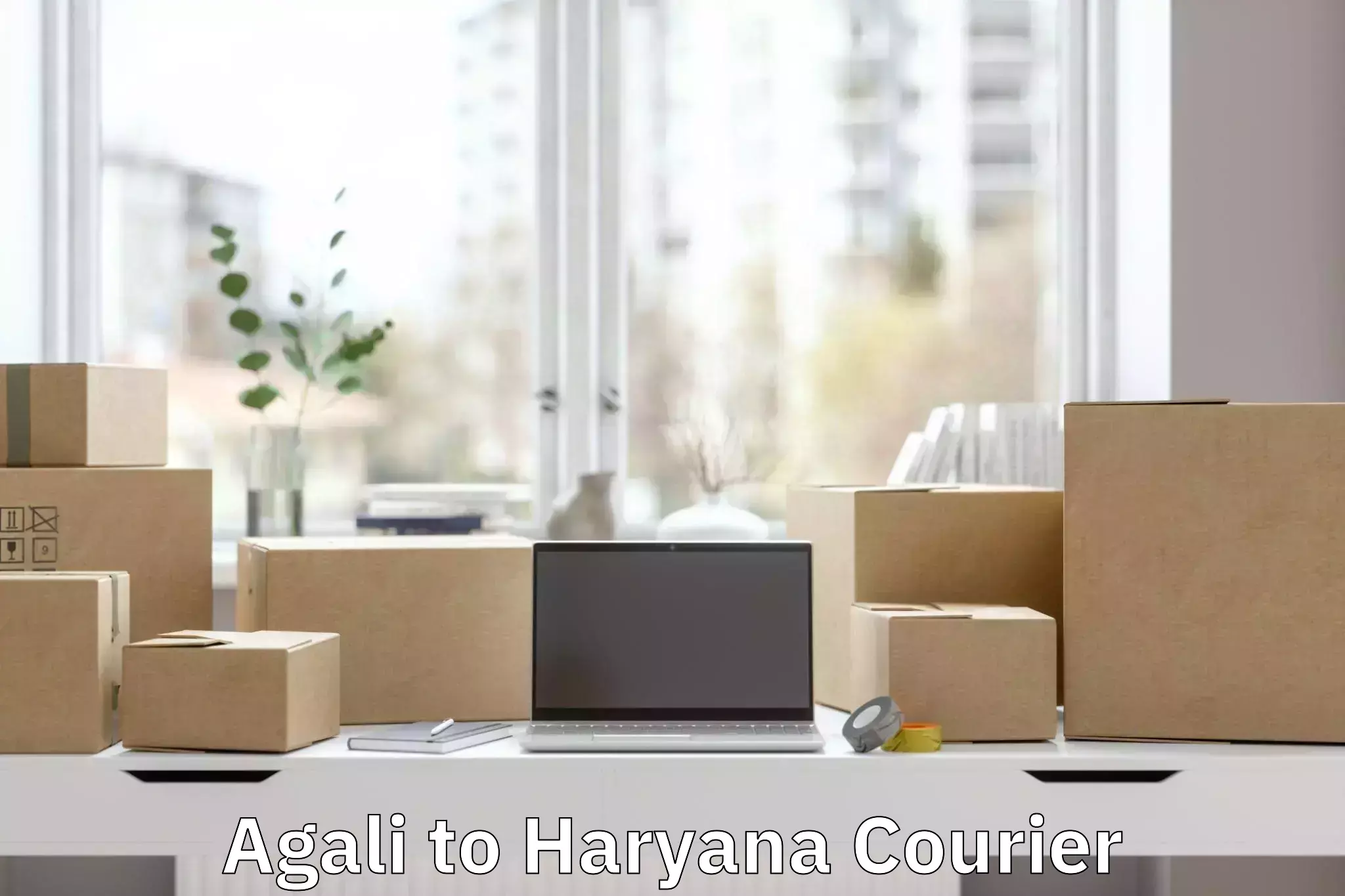 Luggage shipping logistics Agali to Haryana