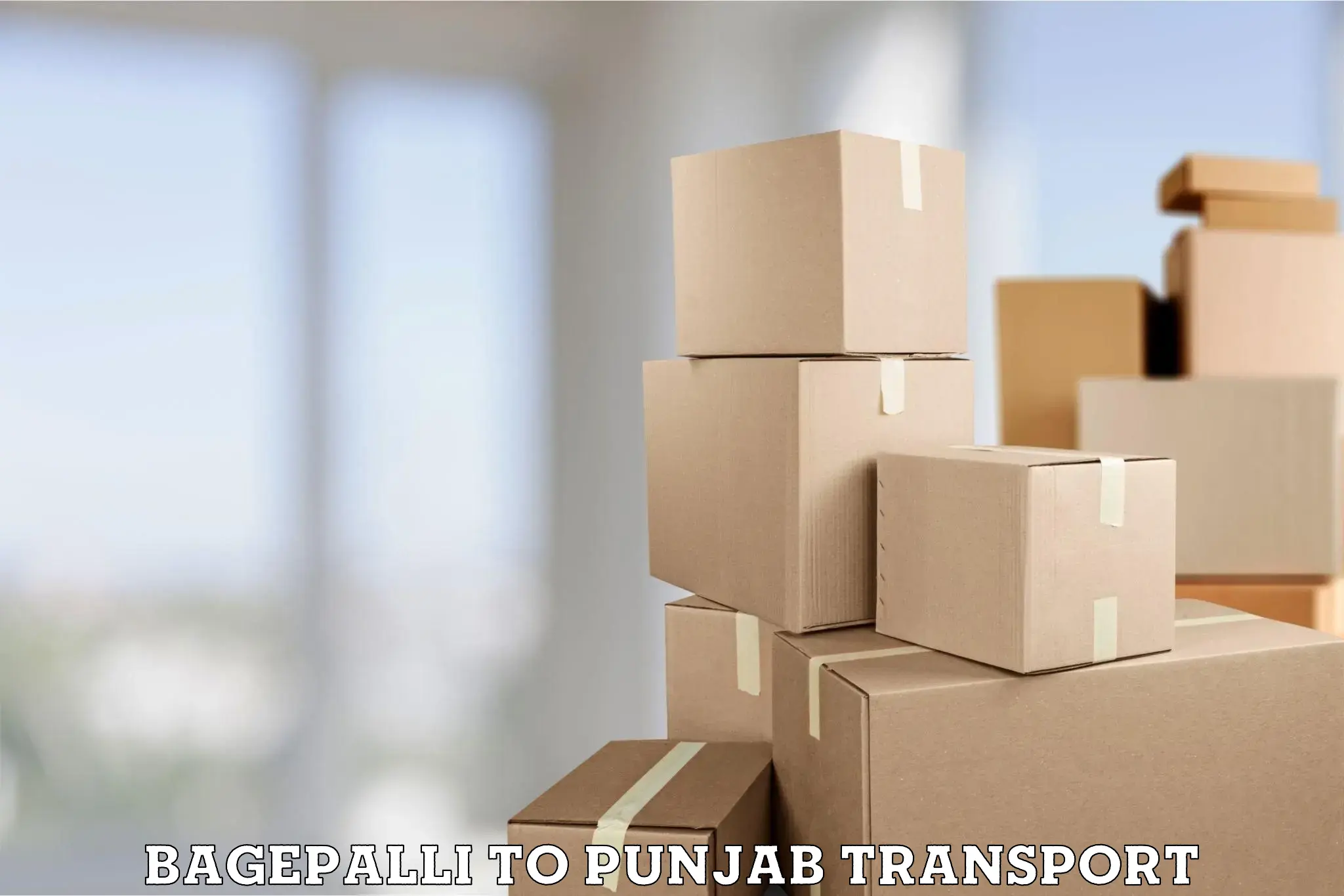 Furniture transport service Bagepalli to Amritsar
