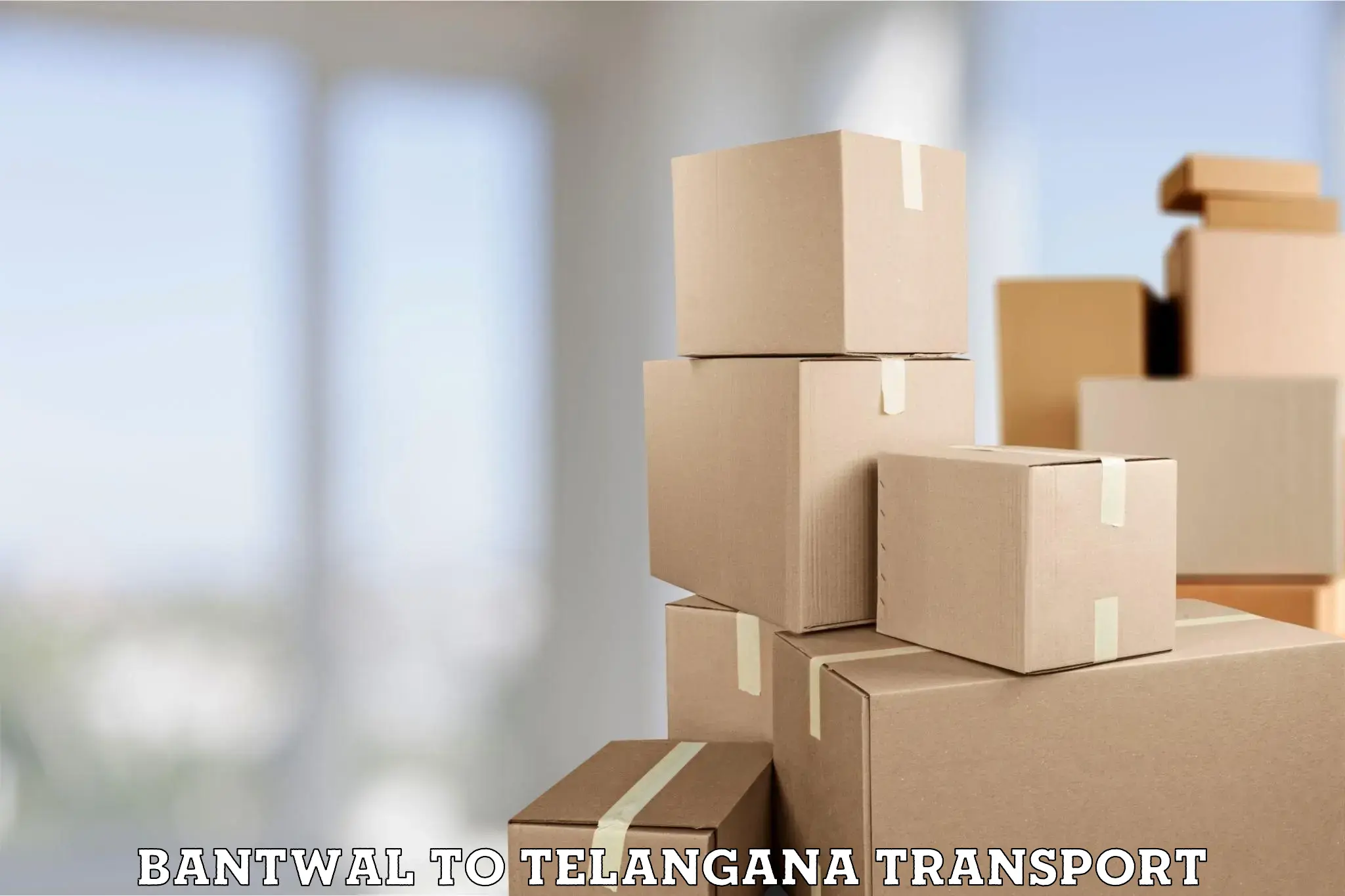 Cargo train transport services in Bantwal to Telangana