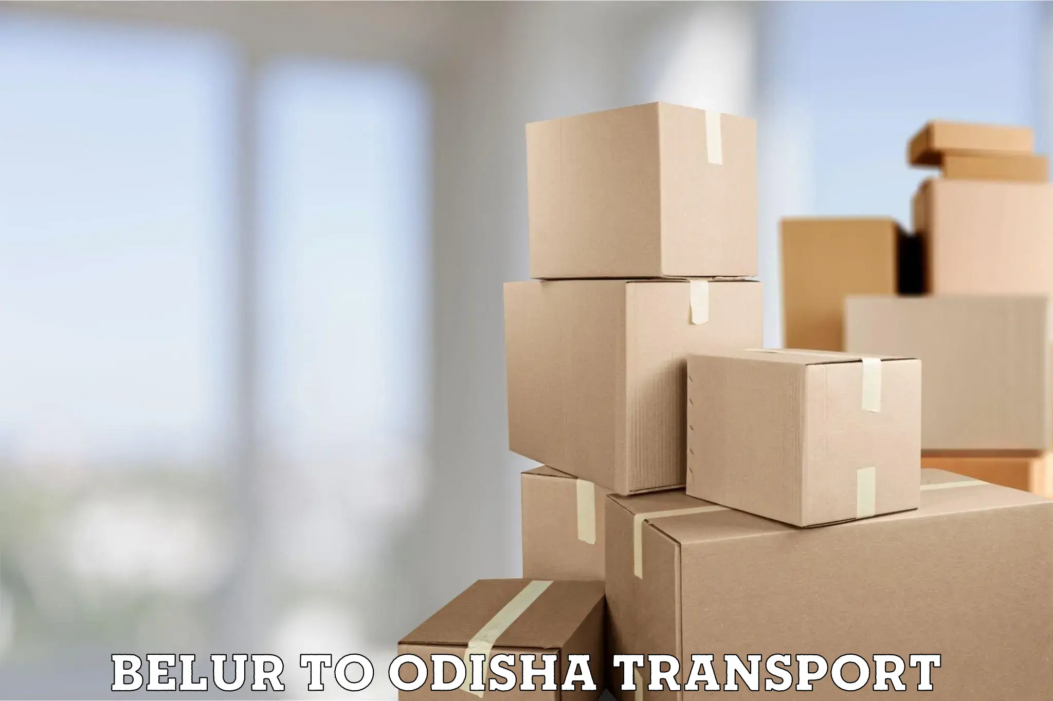 Cargo transportation services Belur to NIT Rourkela