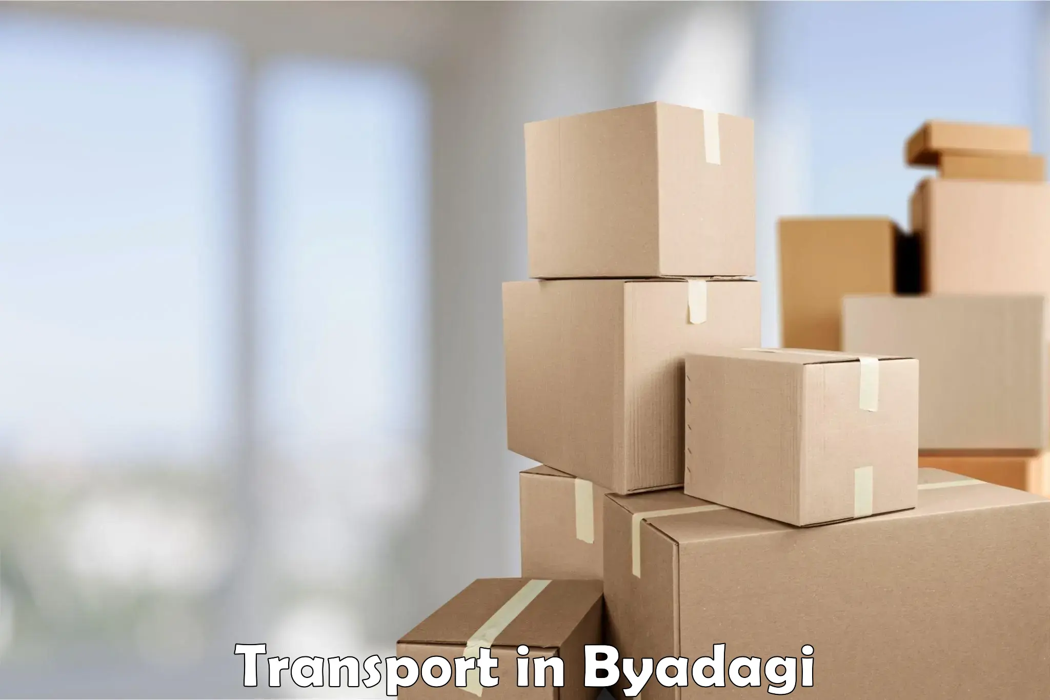 Daily parcel service transport in Byadagi