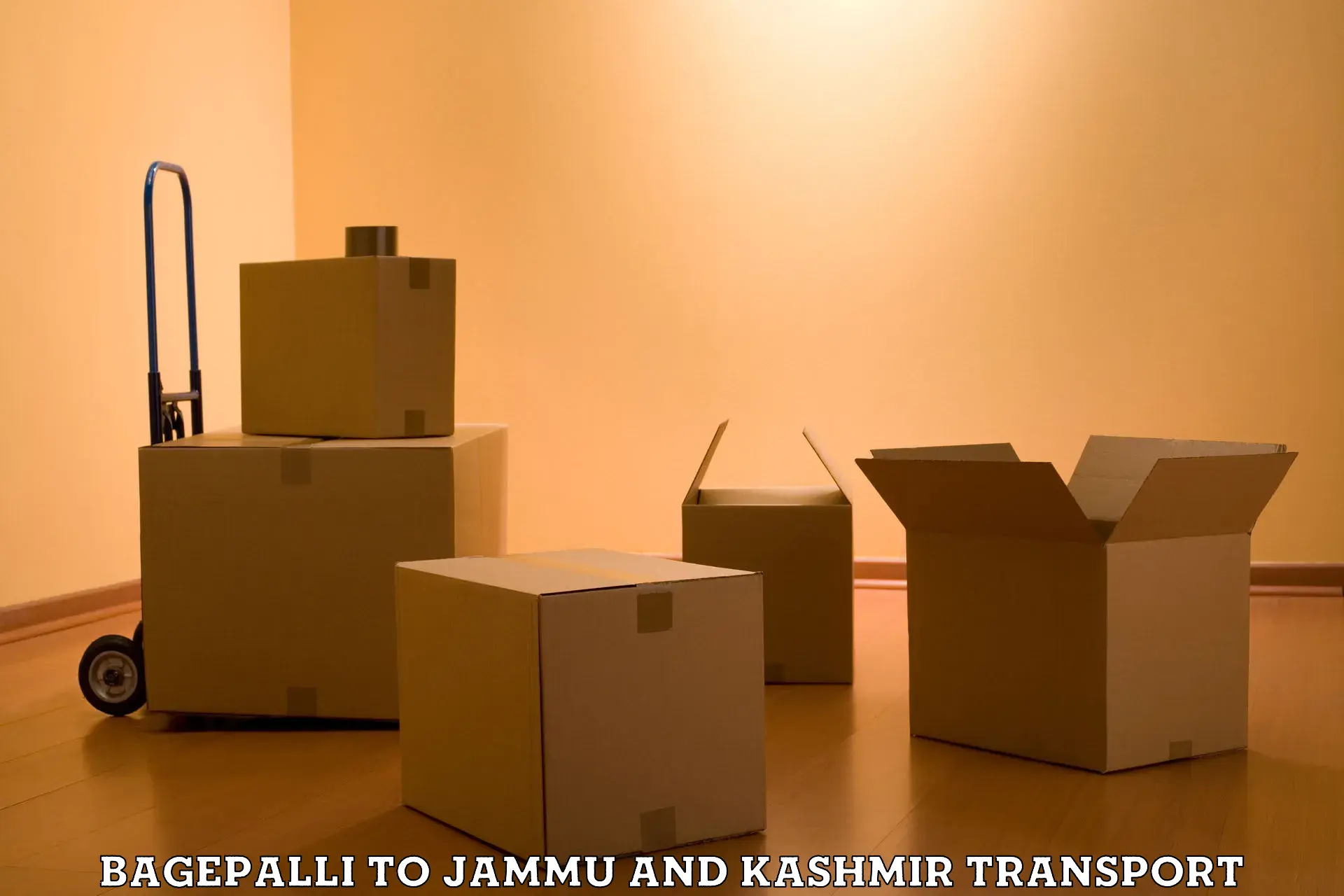 India truck logistics services Bagepalli to Jammu and Kashmir